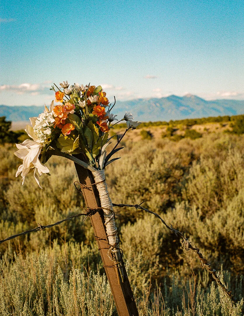 Landscape film photography Minneapolis Bobby Flores VTN Photo