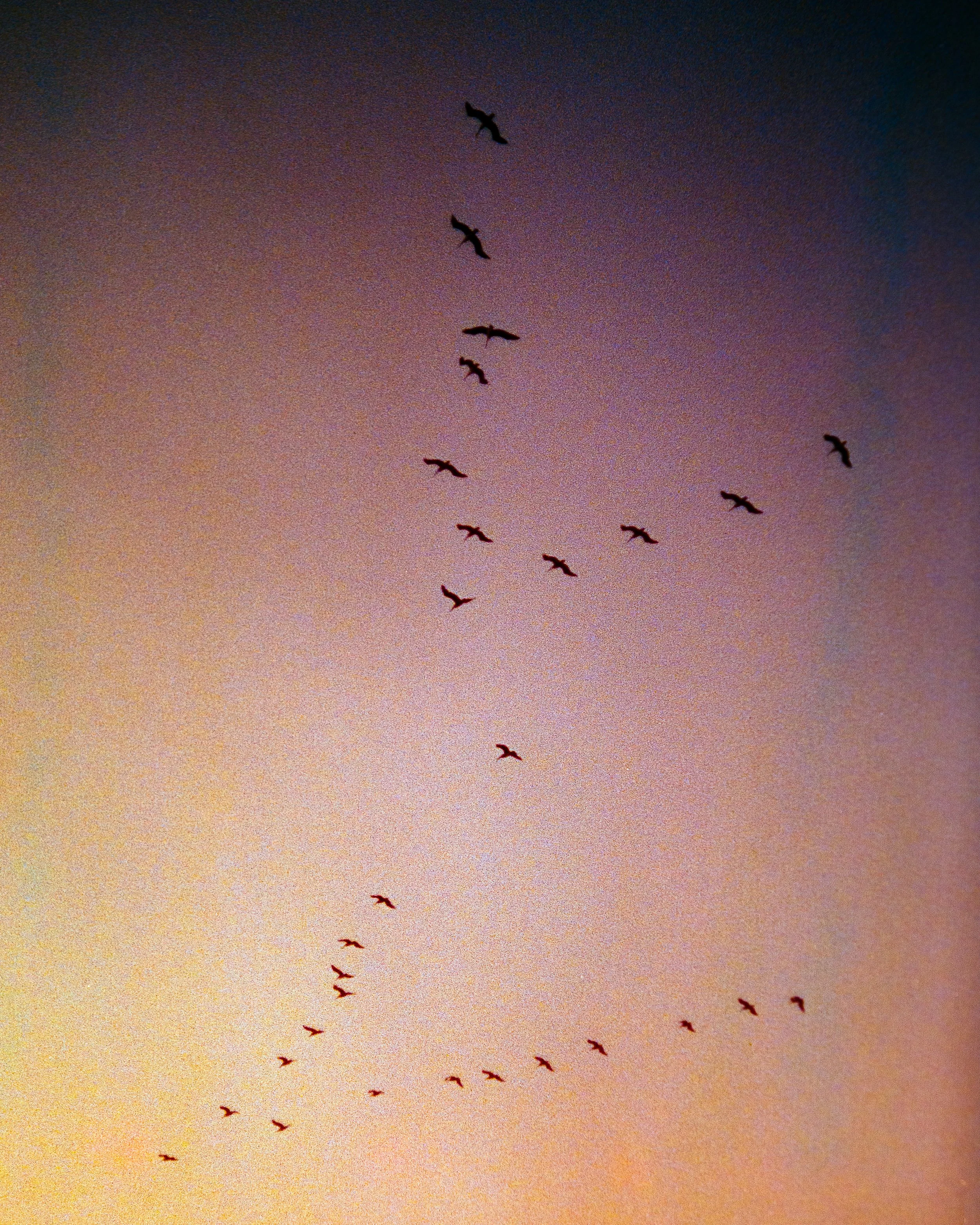 Personal film photography Twin Cities VTN Photo