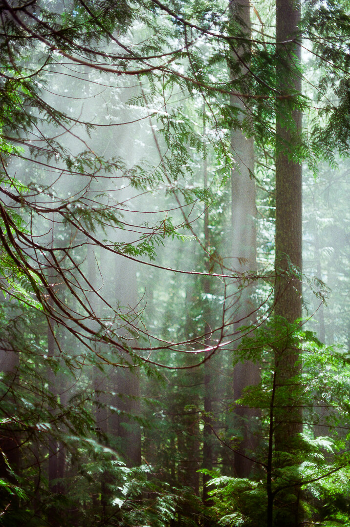 Personal work photographer Minneapolis Bobby Flores