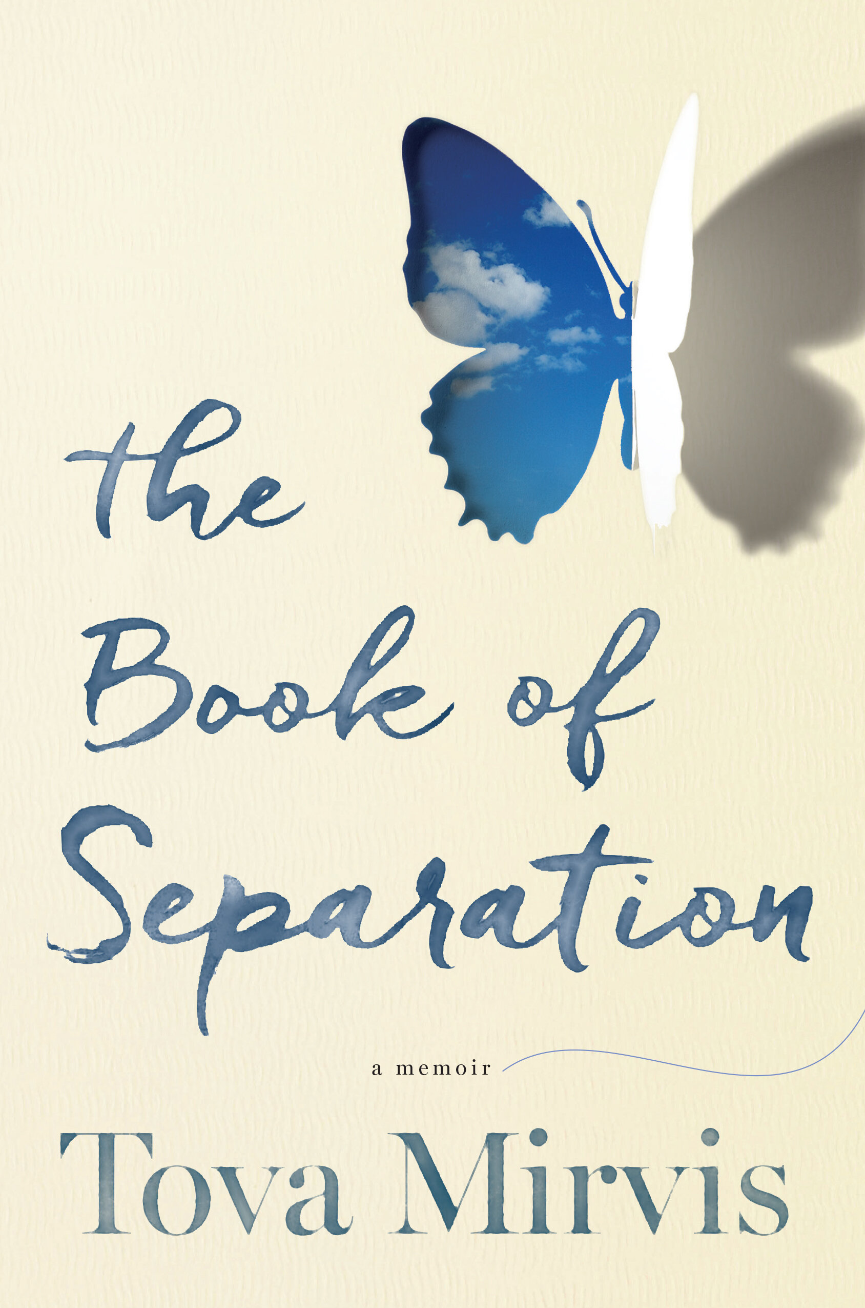 Mirvis_BookofSeparation_hi copy - Tova Mirvis.jpg
