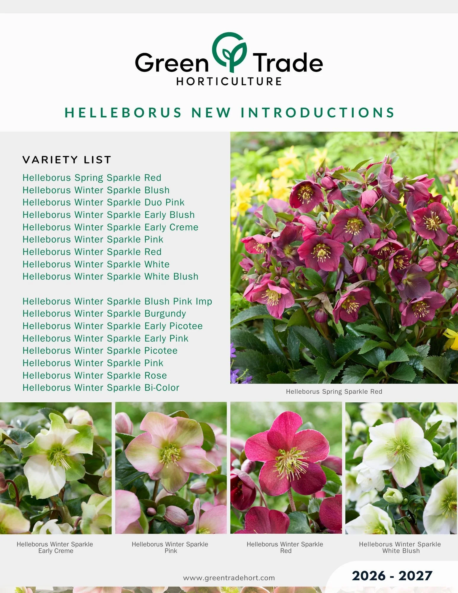 Helleborus Sparkle 2026-2027 Flyer Front.jpg