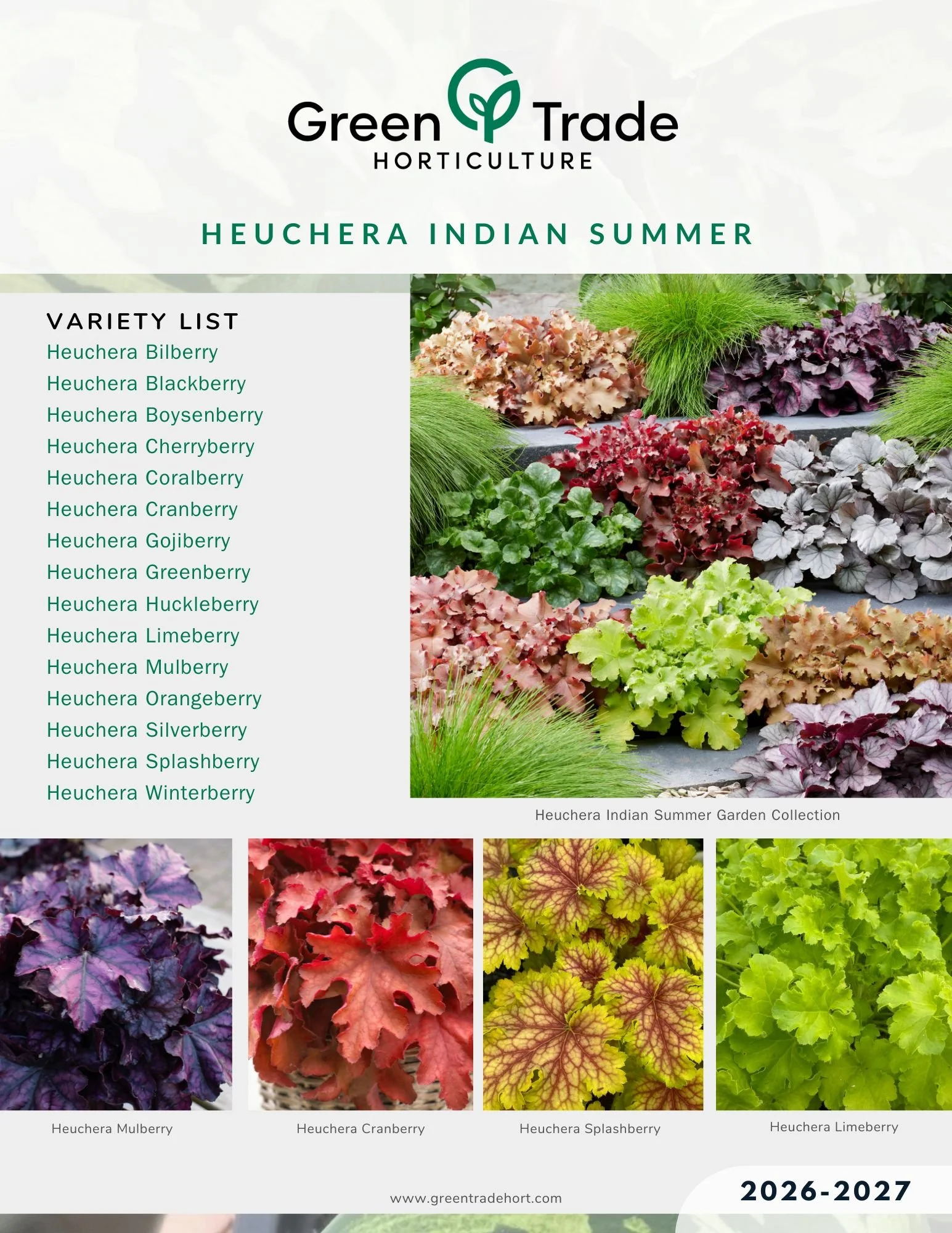 Heuchera Indian Summer 1.jpg