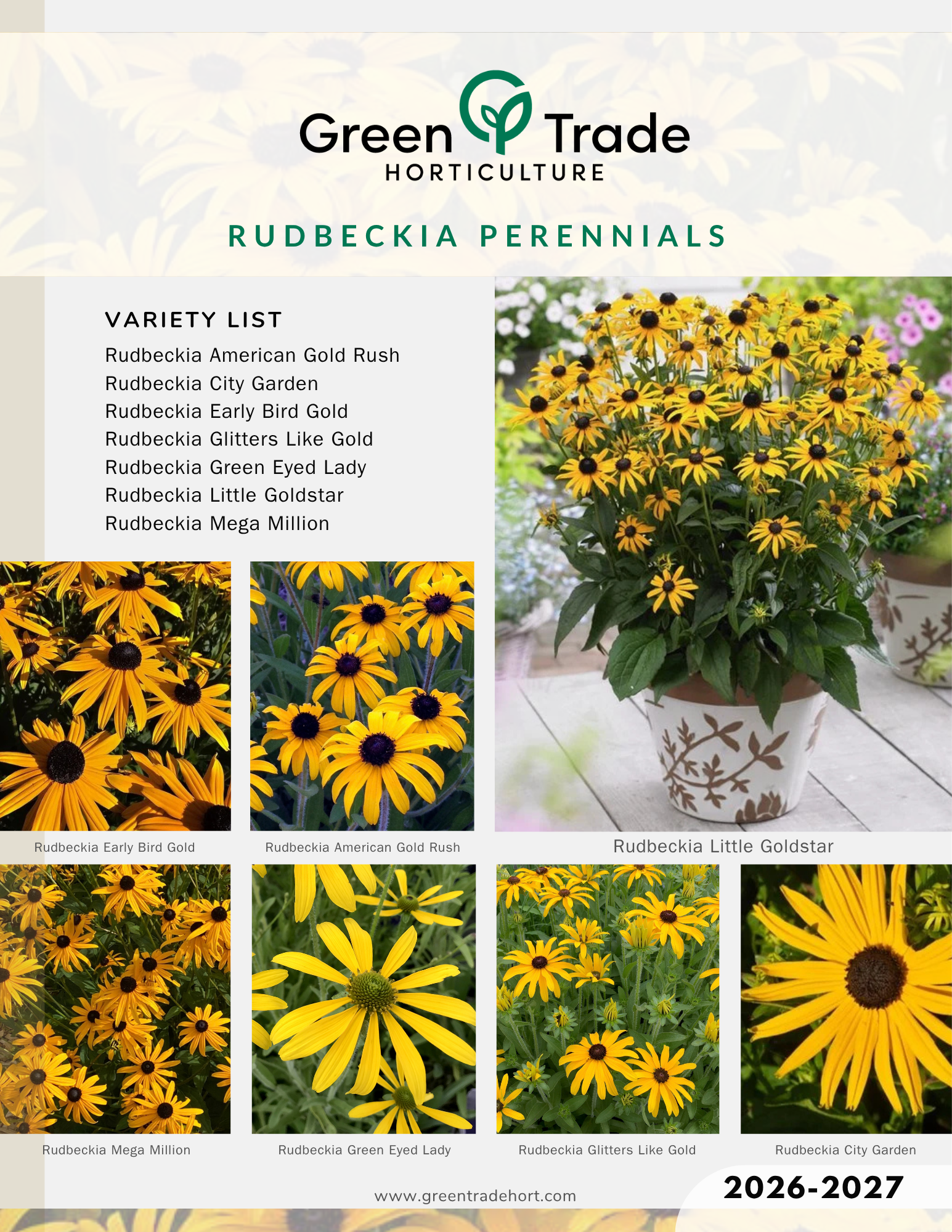 2026-2027 Rudbeckia Flyer.png