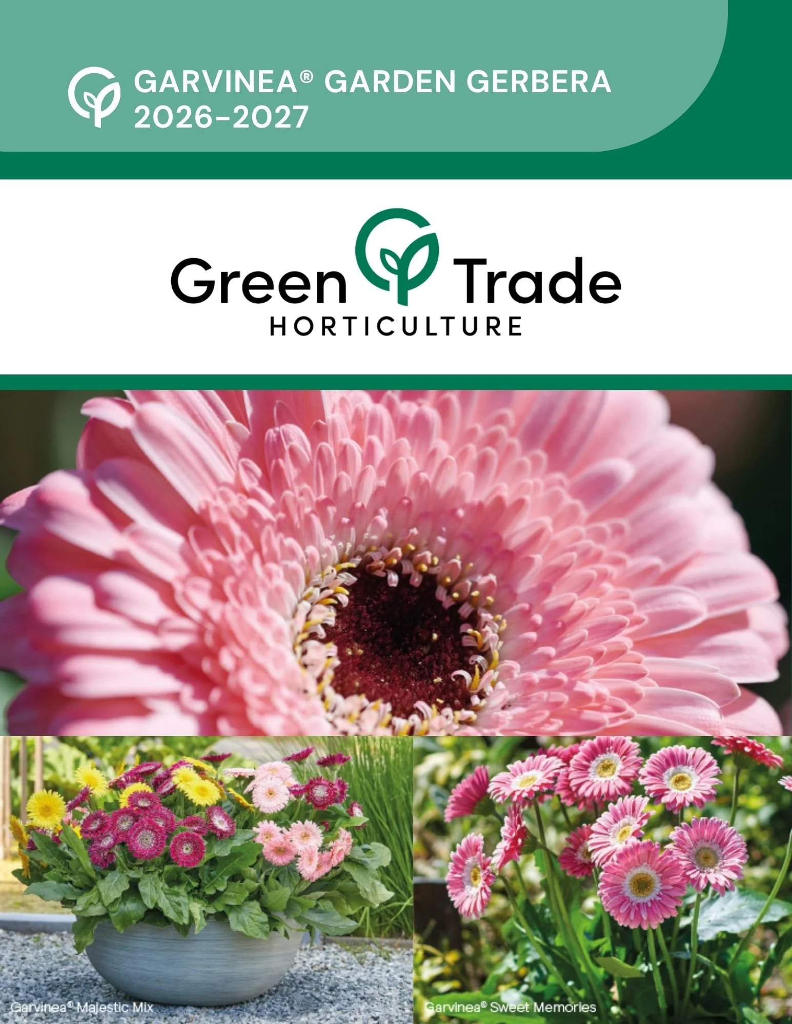 GTH Garvinea Garden Gerbera 2026-2027 Final page 1.jpg