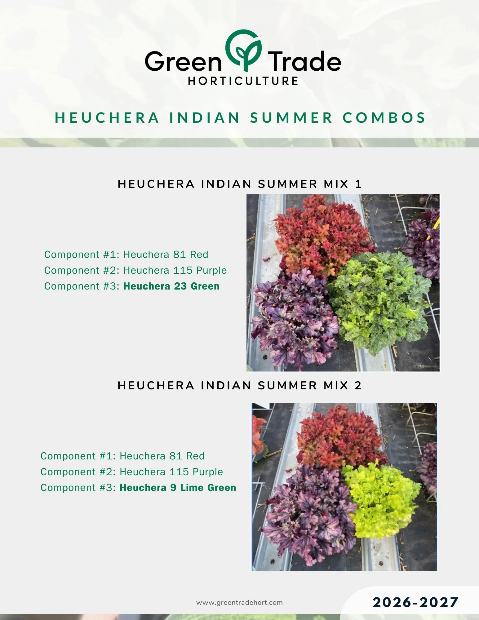 Heuchera Indian Summer 2.jpg