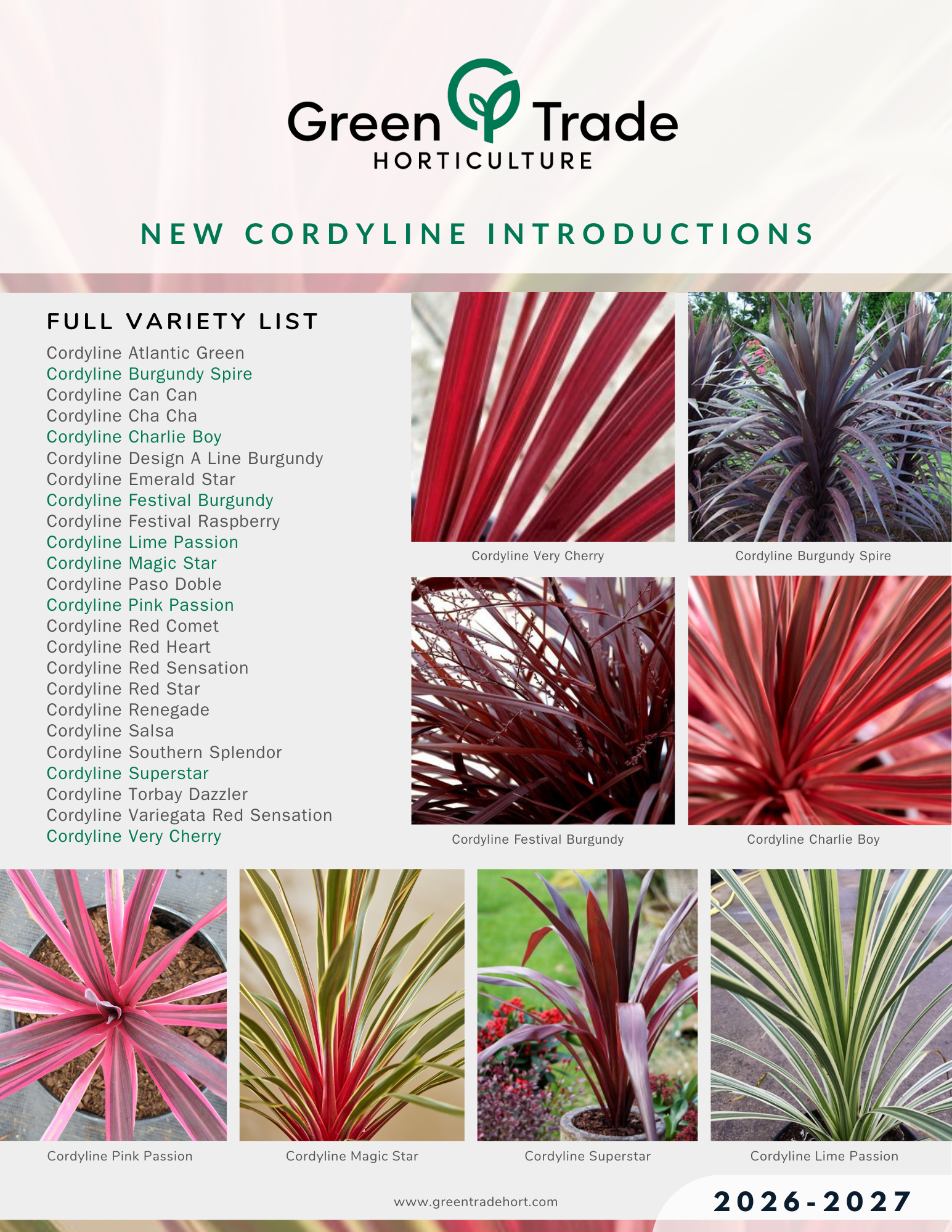 GTH - 2026 Cordyline Introductions .png