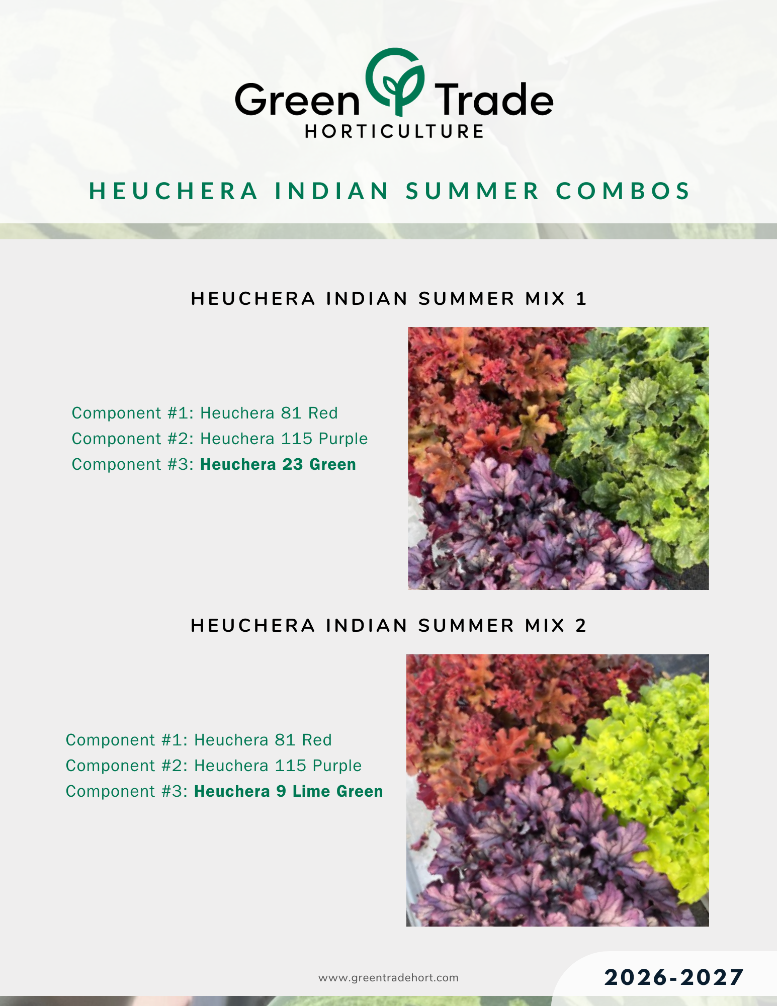 2026-2027 Heuchera Indian Summer Combos  (1).png