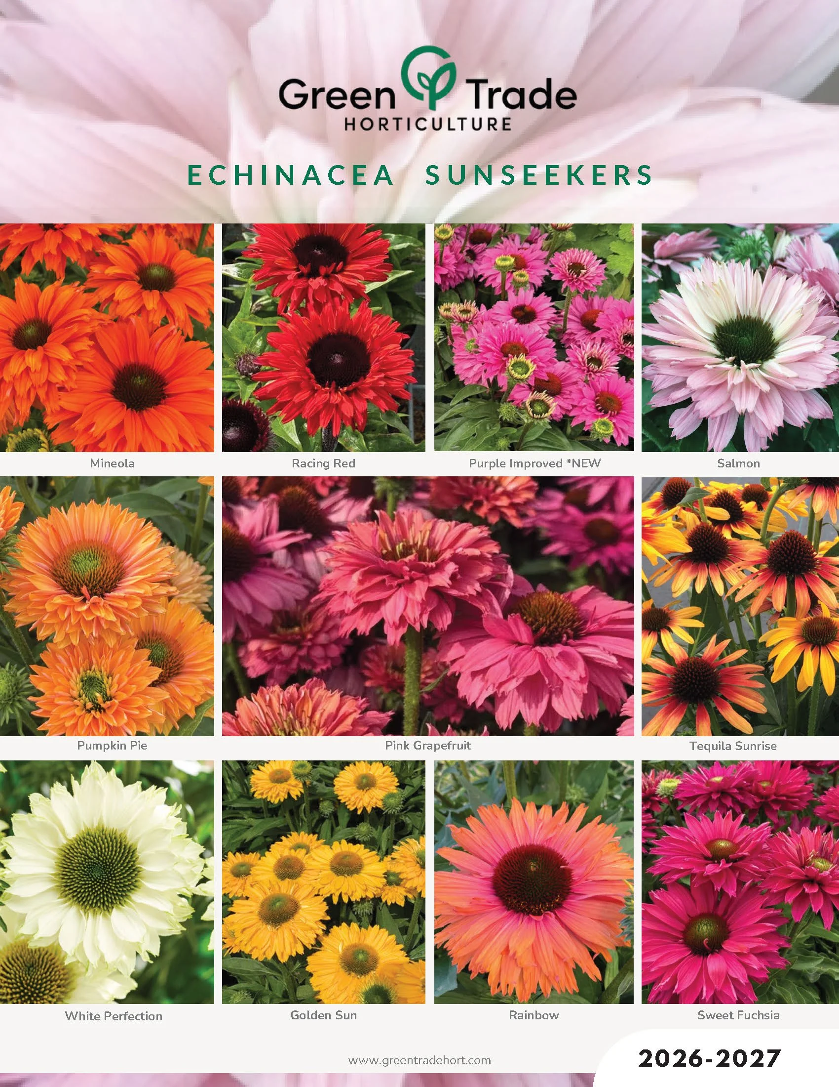 2026-2027 Echinacea Sunseekers Flyer-compressed_Page_1.jpg