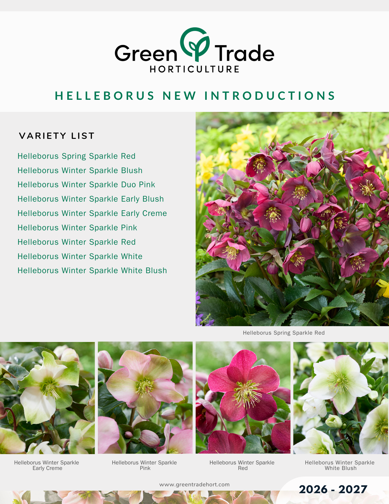 GTH - 2026 Helleborus New Introduction Page 1.png