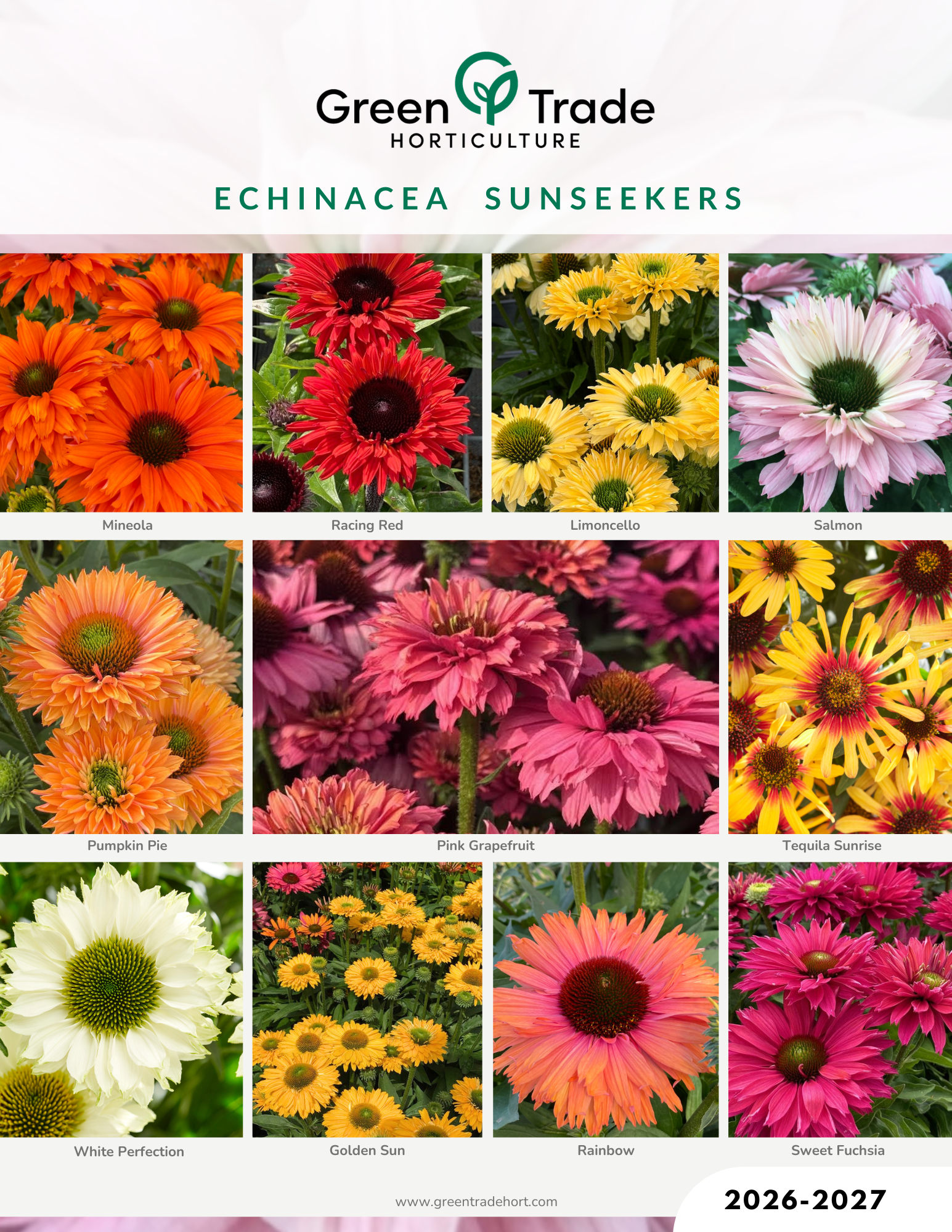 2026-2027 Echinacea Sunseekers Flyer (6).png