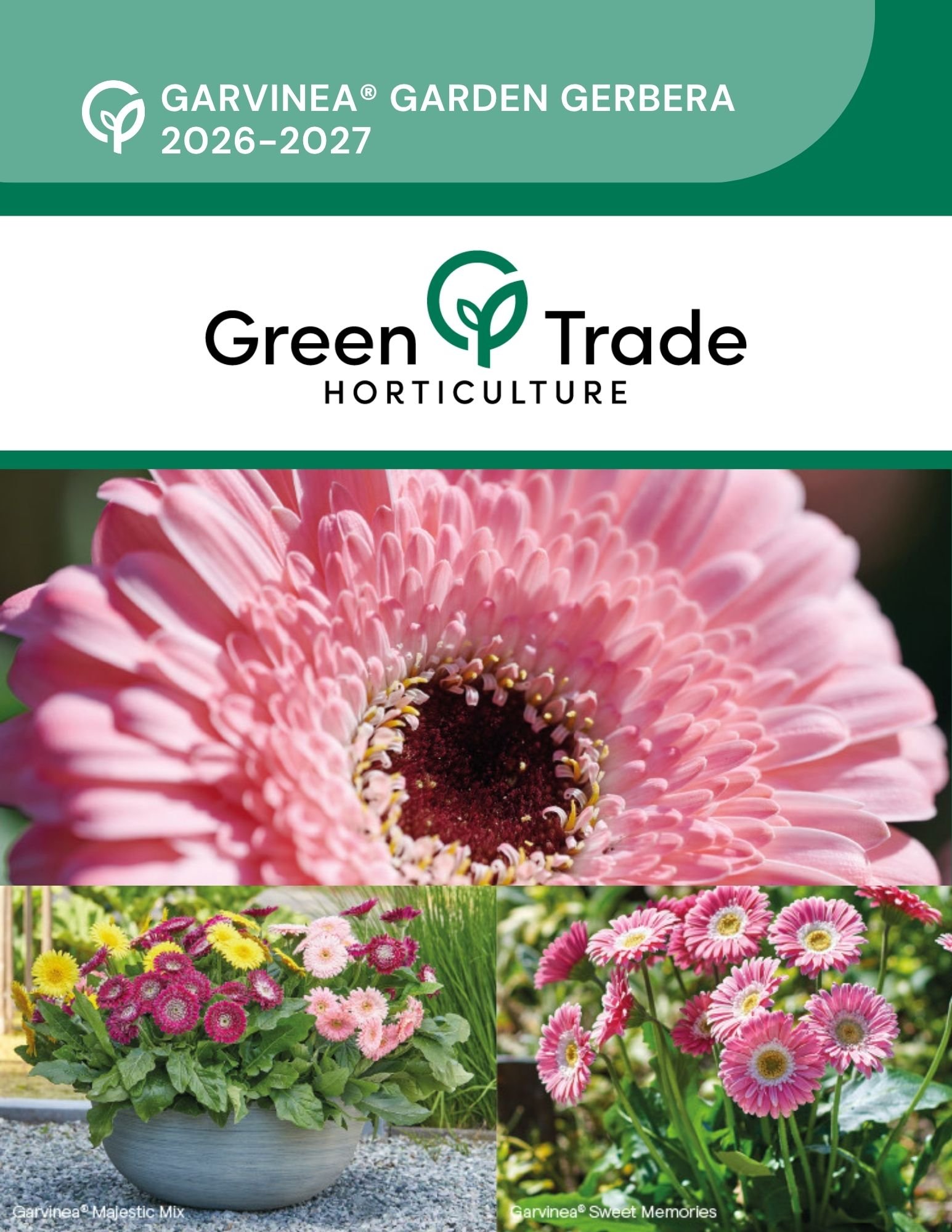 GTH Garvinea Garden Gerbera 2026-2027 Final page 1.jpg