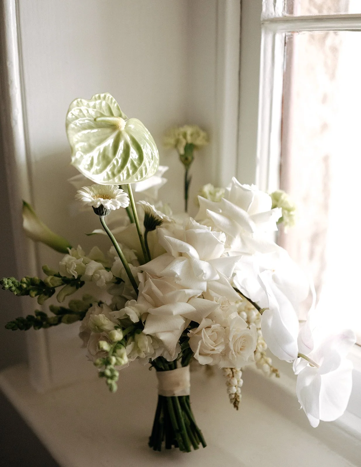 149A5893_websize.jpg