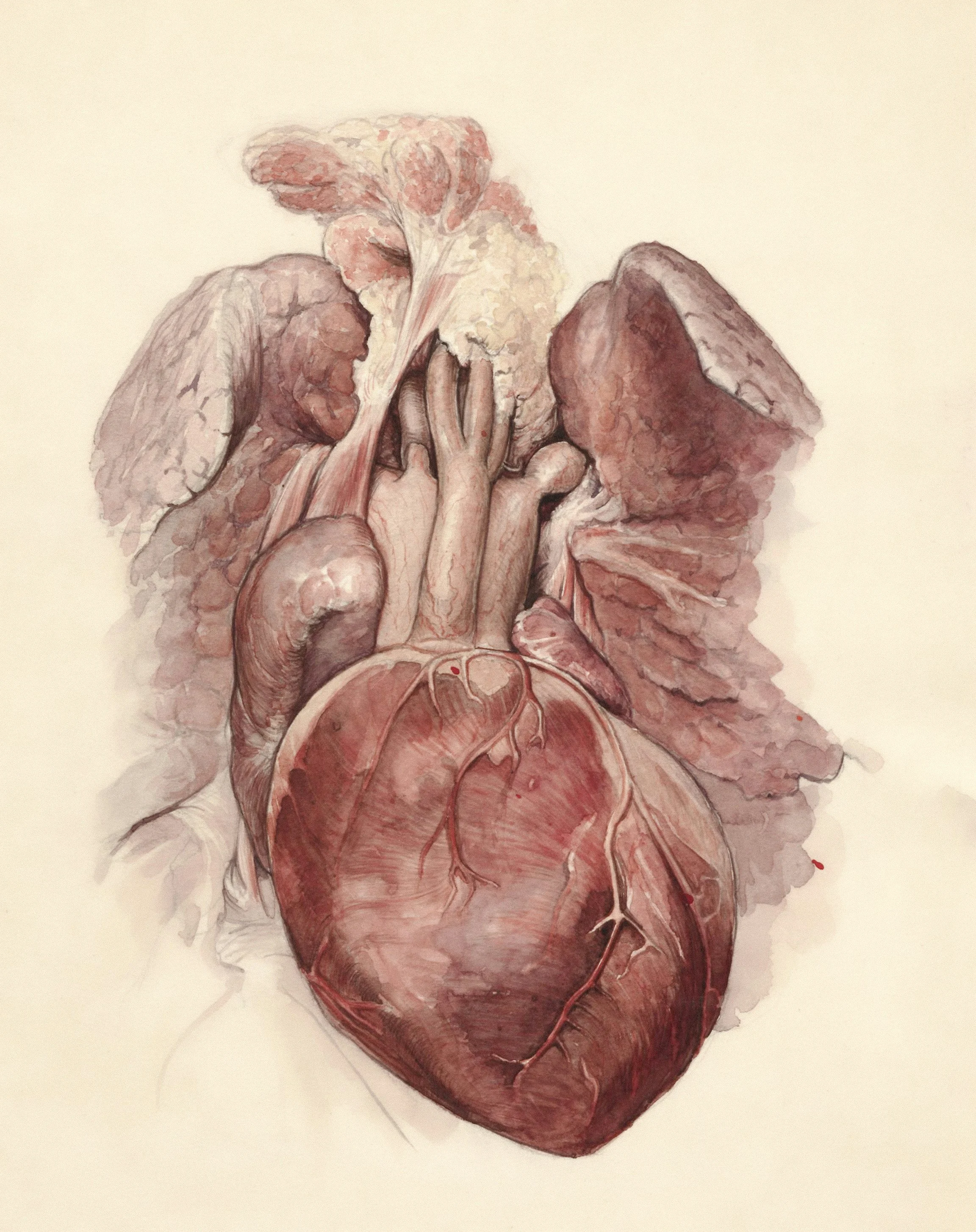 Is the heart a second (or third) brain?
