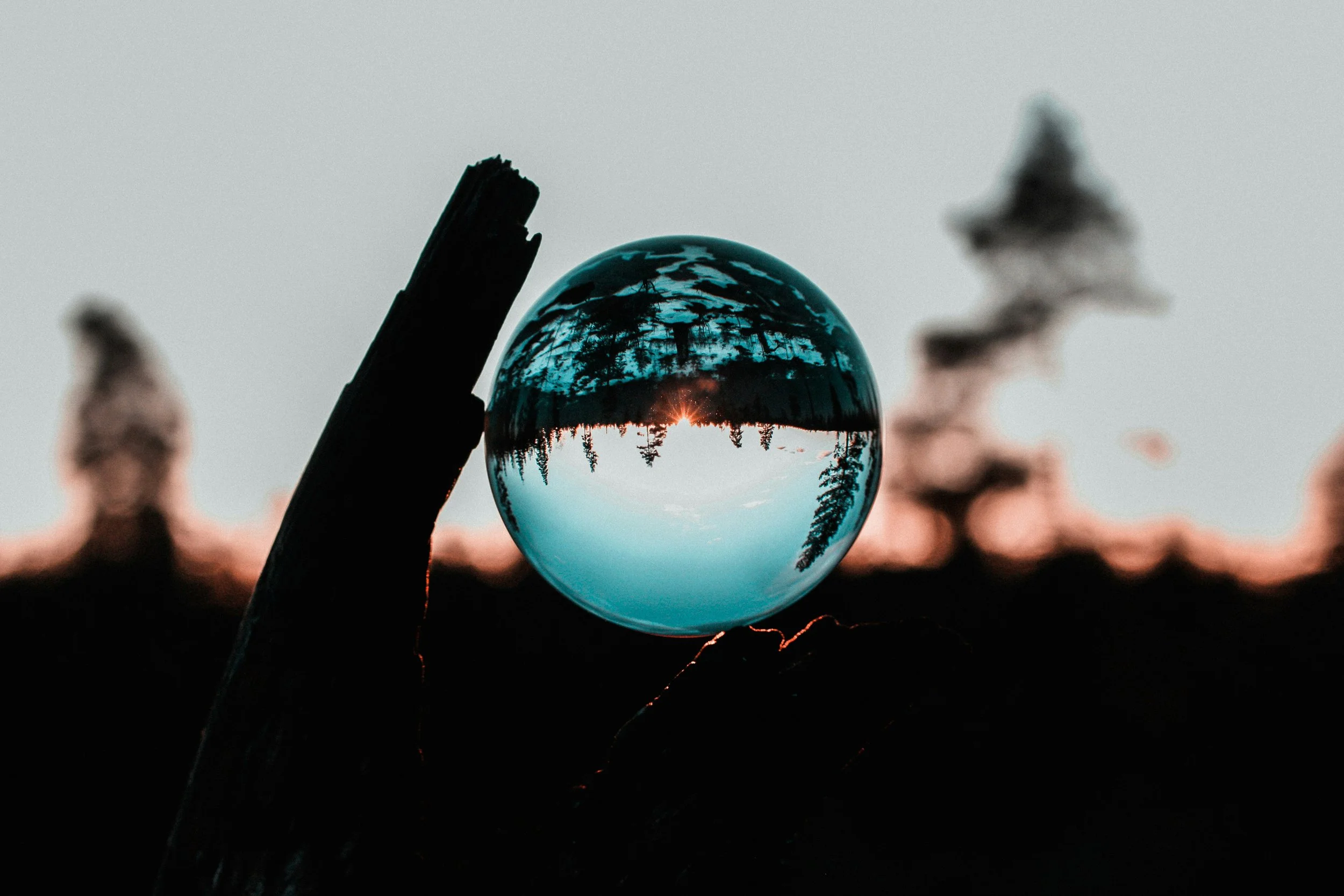 Your mind shapes your reality
