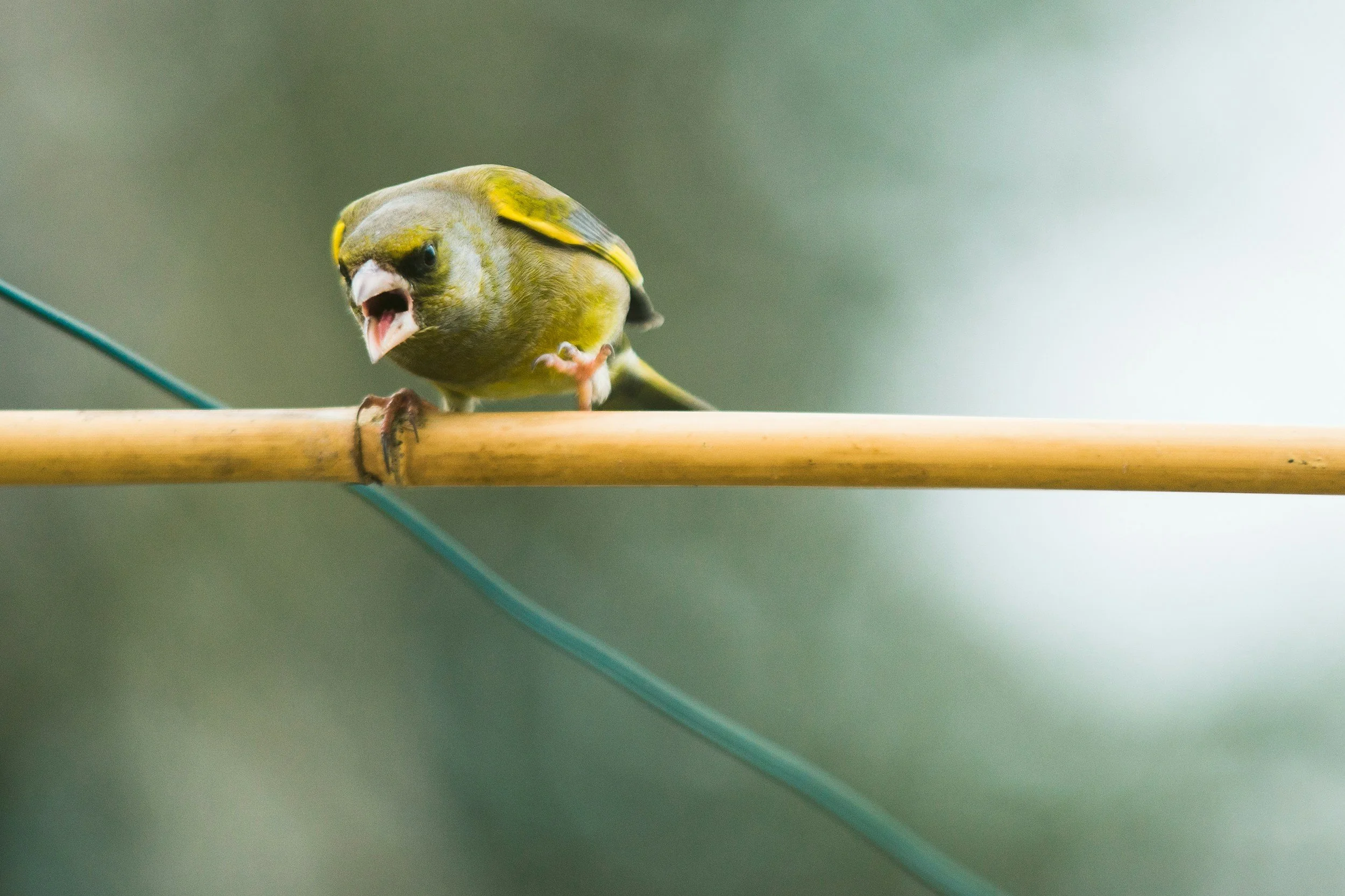 Why anger is a secondary emotion (and how to find the root cause)