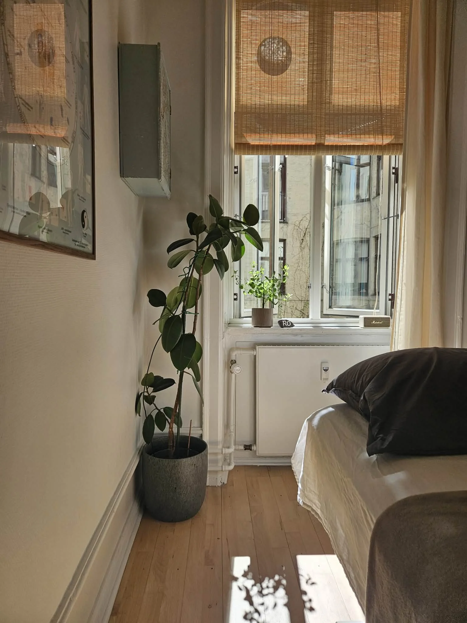Et hyggeligt værelse med en stor vindue med rullegardin, en plante i stor potte, et roligt hjørne med en massagebriks og nogle vægdekorationer.