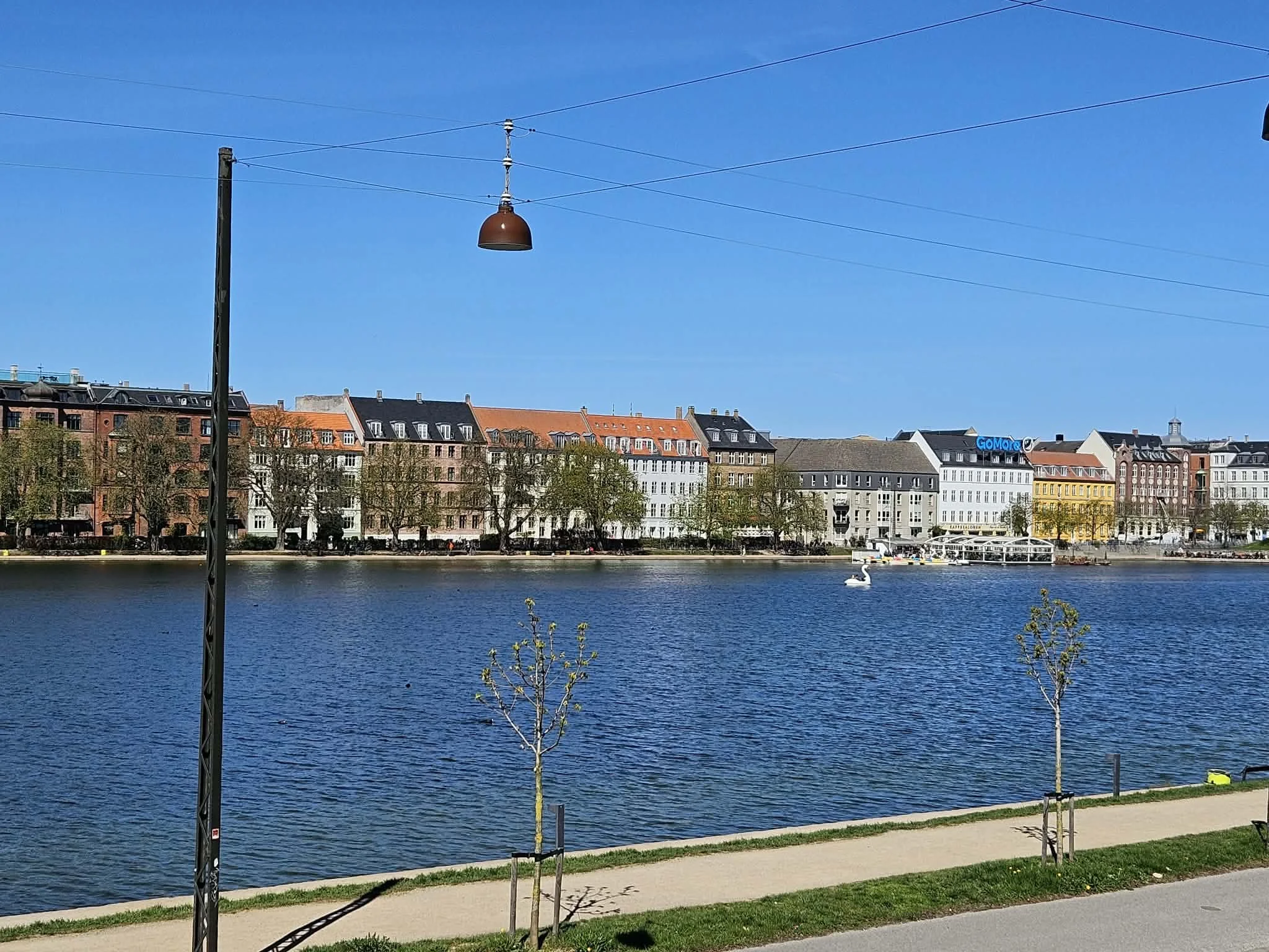 Billede af en bysø med vand i forgrunden. Der er farverige bygninger, nogle med tagterrasser. En svane svømmer i vandet under en blå himmel.