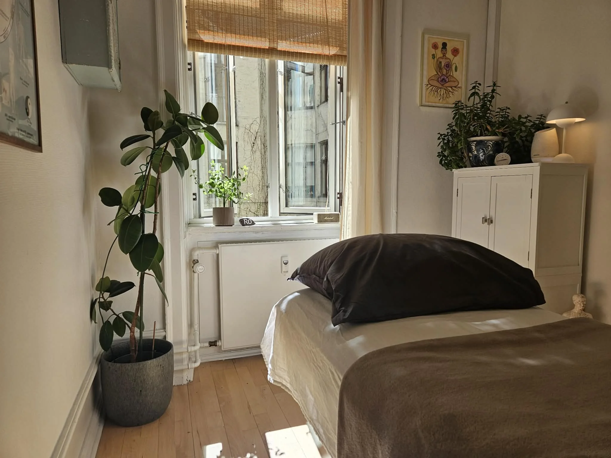 Billedet viser et rum med to store grønne planter ved siden af et vindue med rullegardin og hvide vinduesrammer. Der er en massagebriks med sort pude, en hvid kommode og en vægdekoration med en kvinde med blomsterhoved.