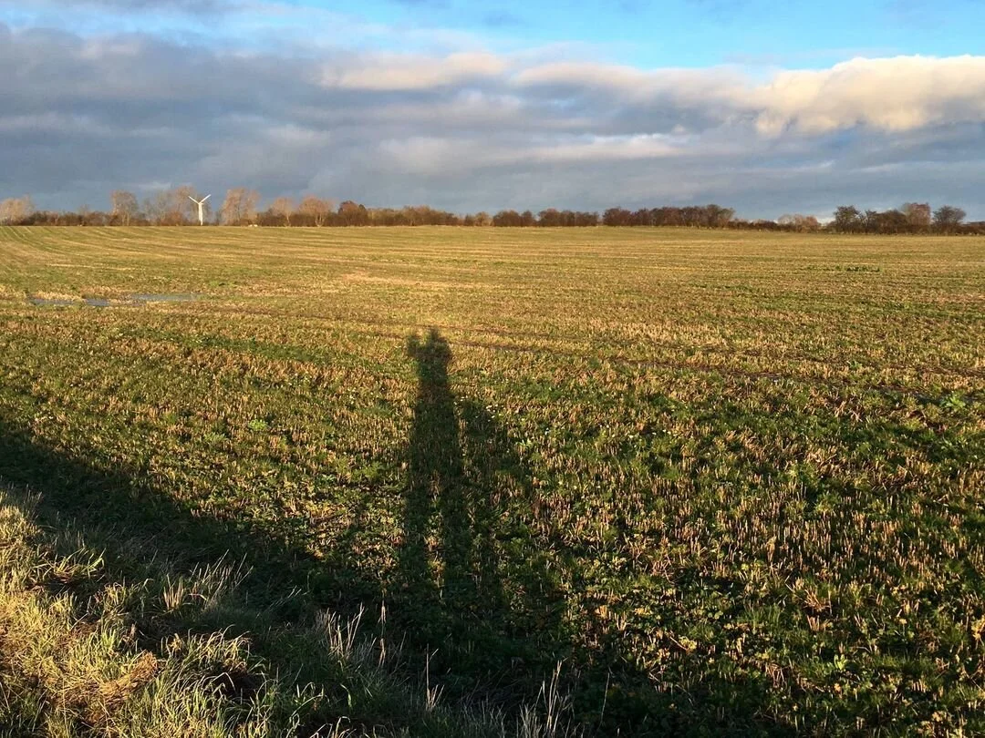 5 tohjulede afsavn fra storbylivet 