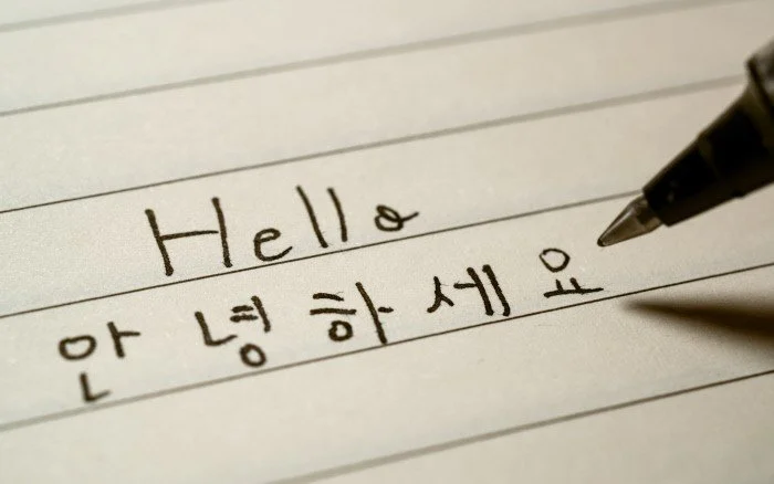 미 대학 외국어 수강 증가율 한국어 1위…“K-문화 관심이 원동력”