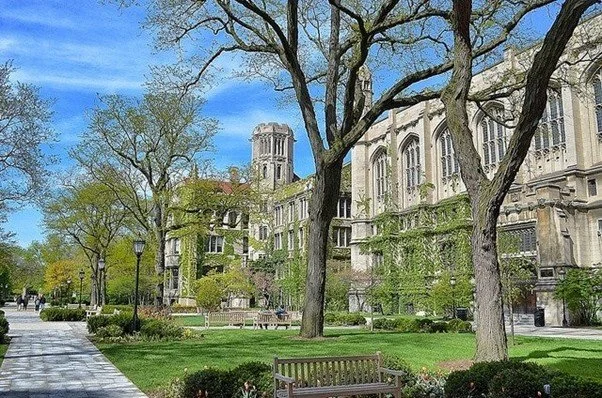 시카고대 인문학과 통폐합 움직임