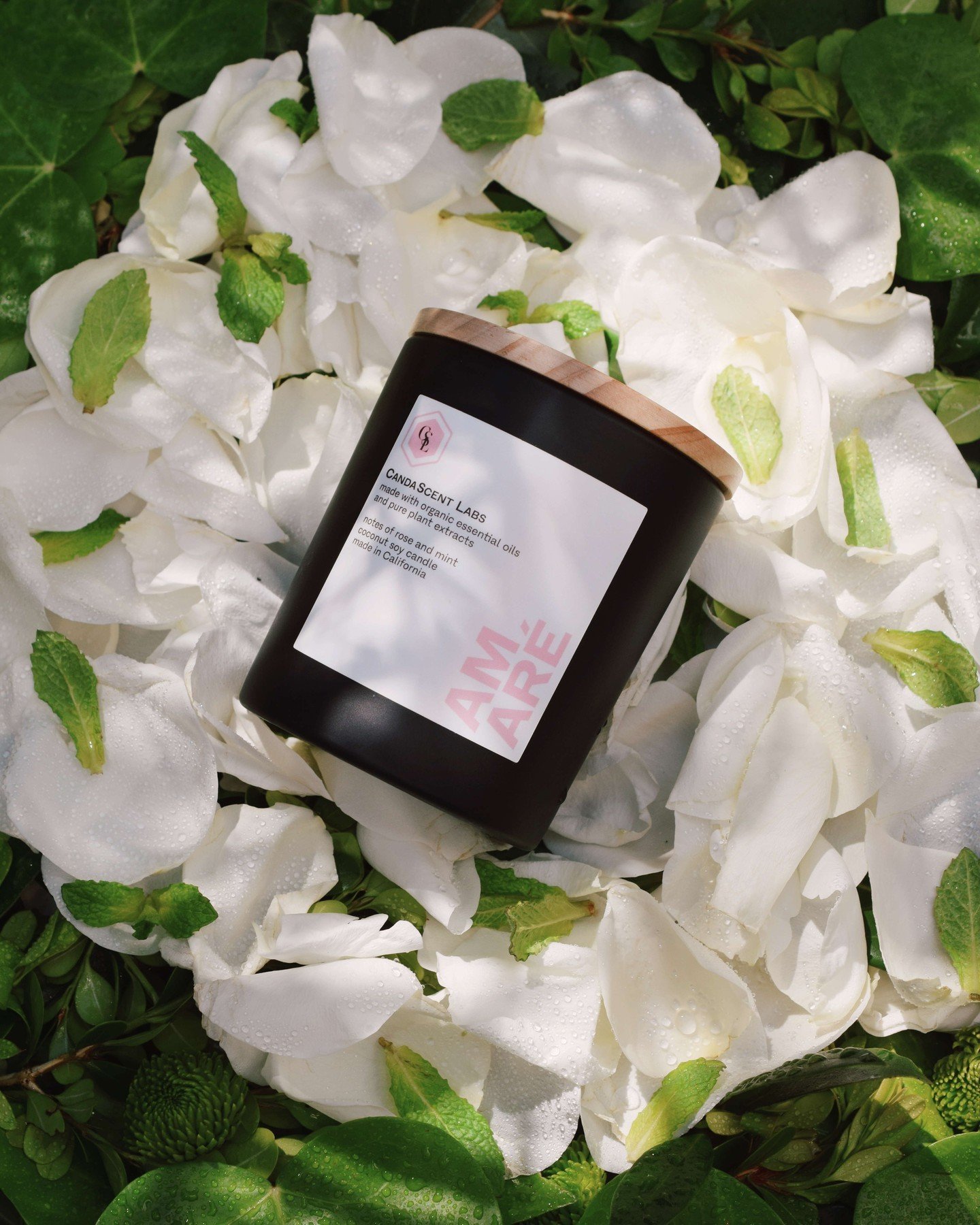 The Coolest Soy Candle Brands Right Now — Maia