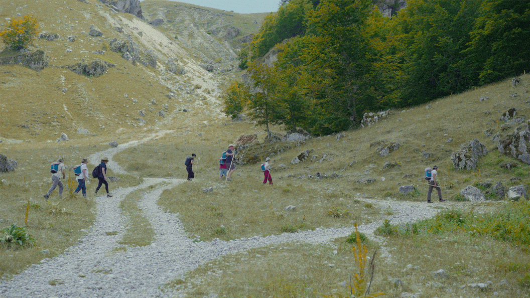 Snippet_1.gif
