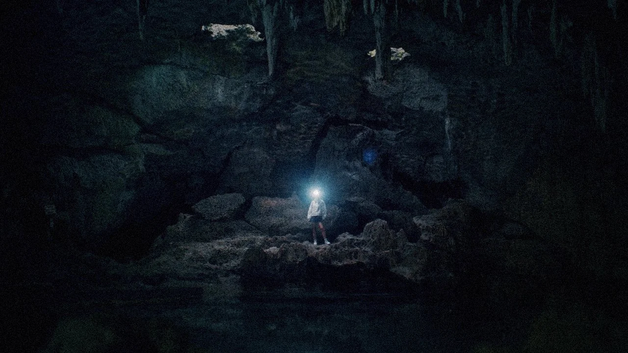 DOTP: From the Reef to the Ridge