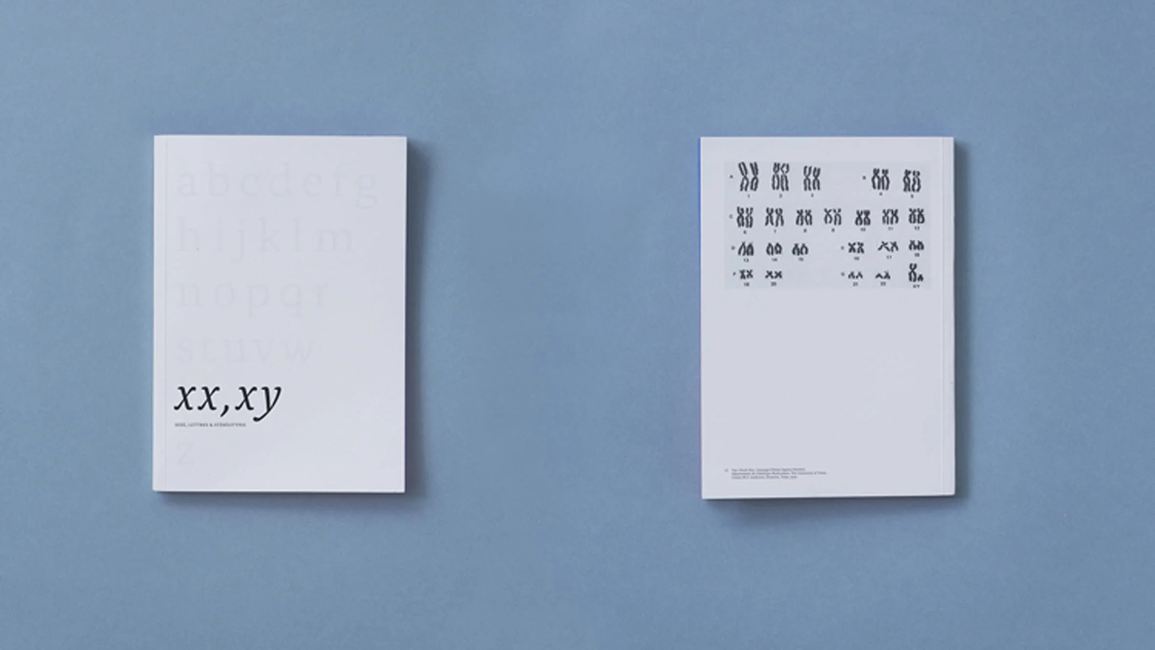 xx-xy-marie-boulanger-gendered-typography-hero-1.jpeg