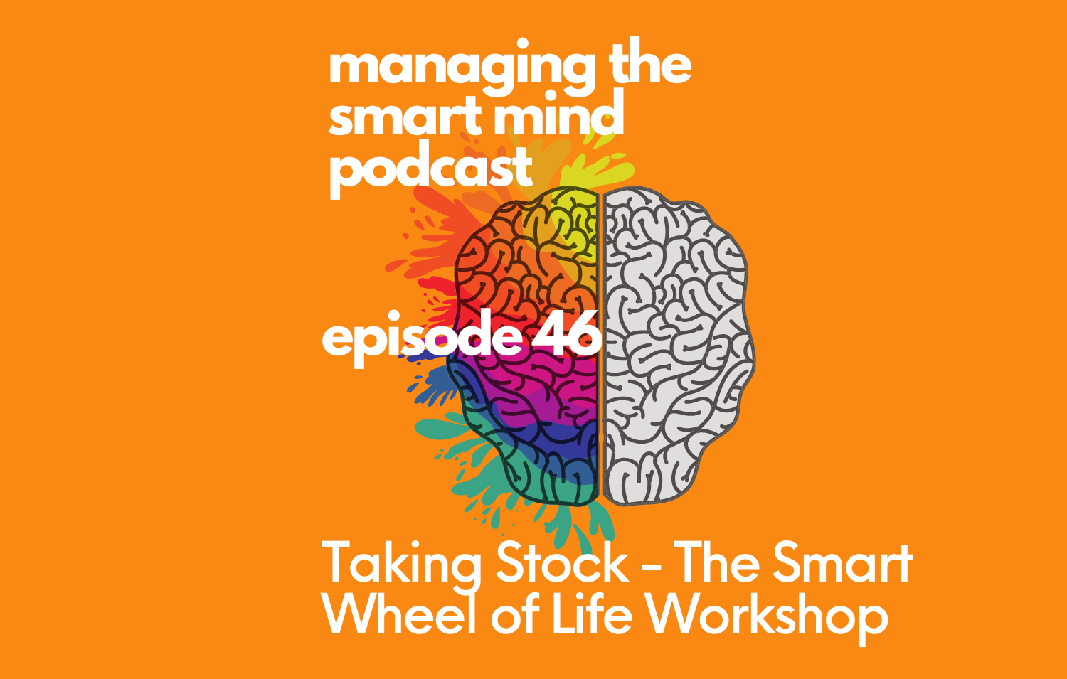 Episode 46 - Taking Stock - The Smart Wheel of Life Workshop