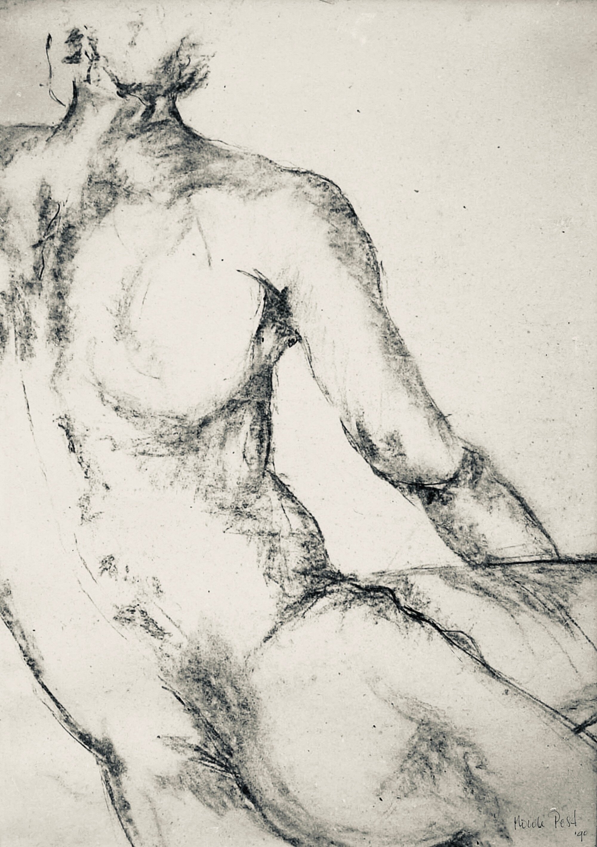 Male torso's