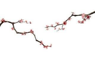 plum-blossom-with-chinese-ink-painting-style-3d-rendering-photo.jpg