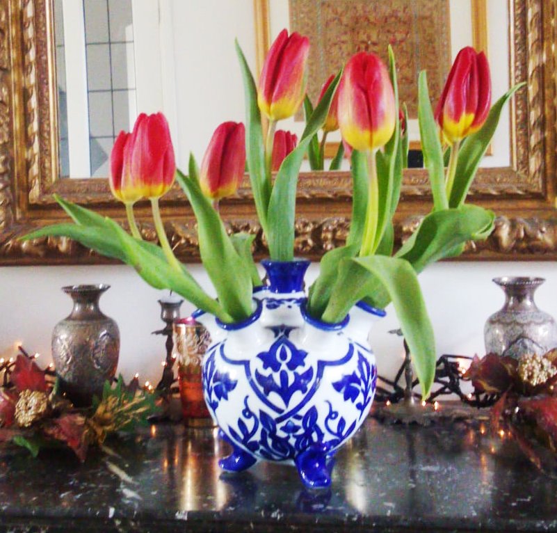 tulpen.jpg