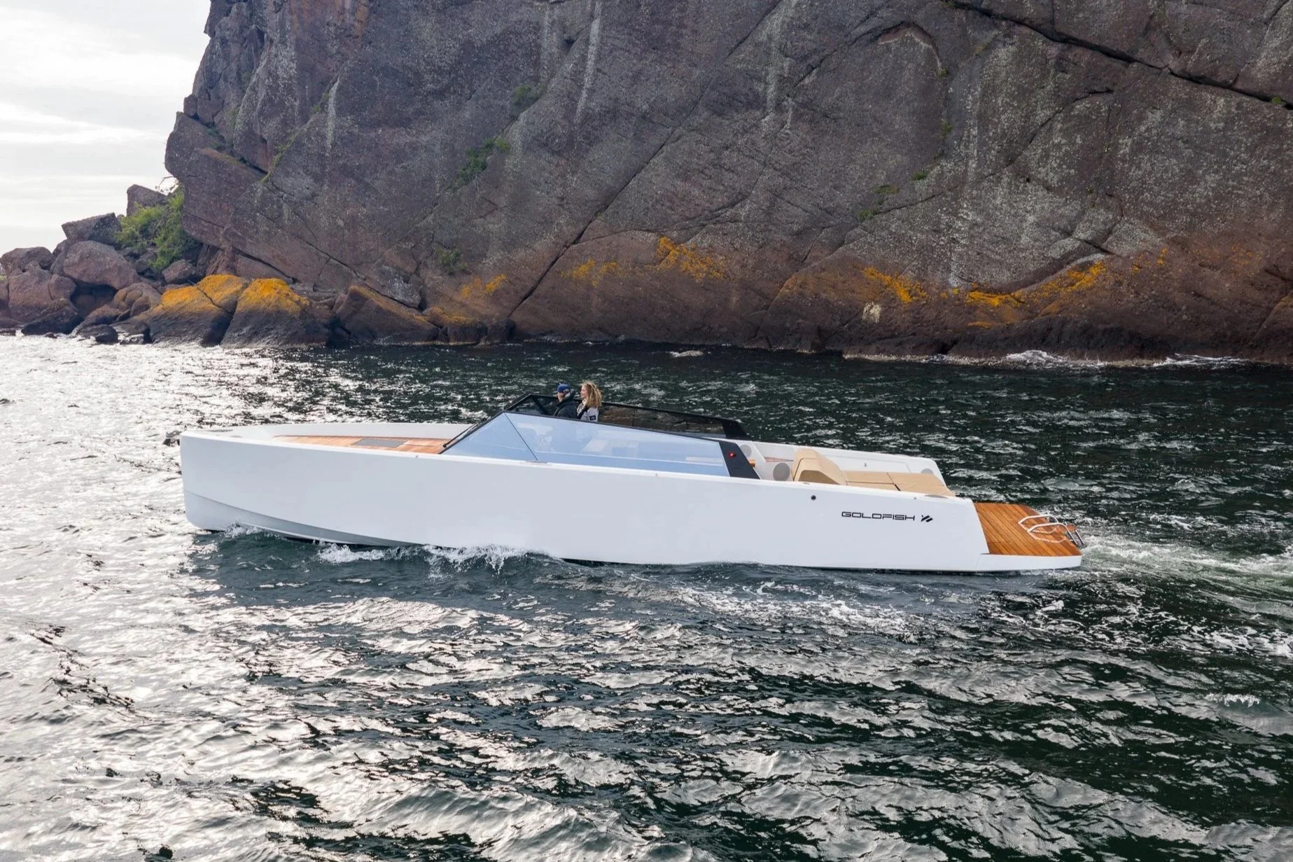 Goldfish 43 Ocean - 006