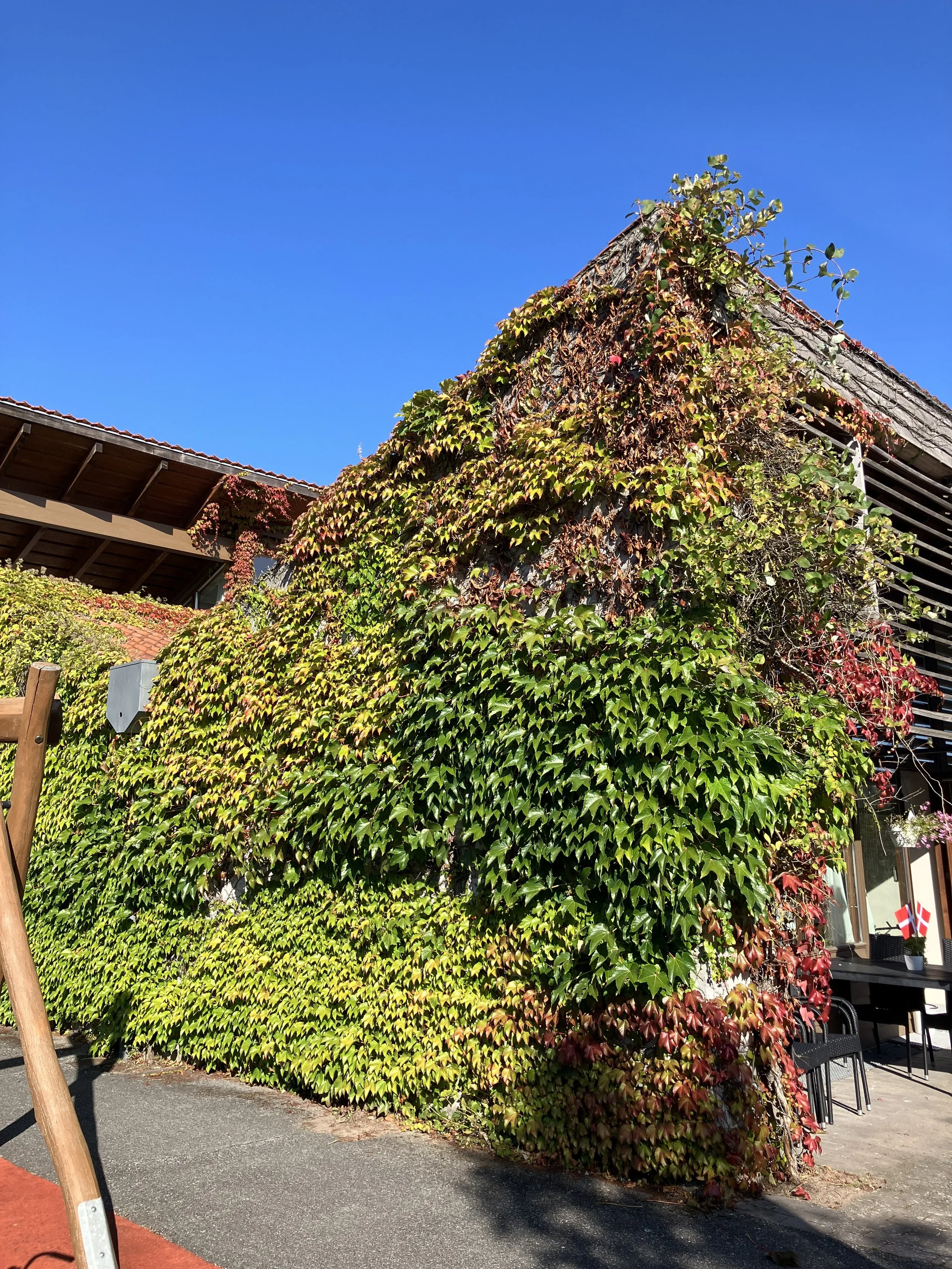 IMG_0978.jpeg