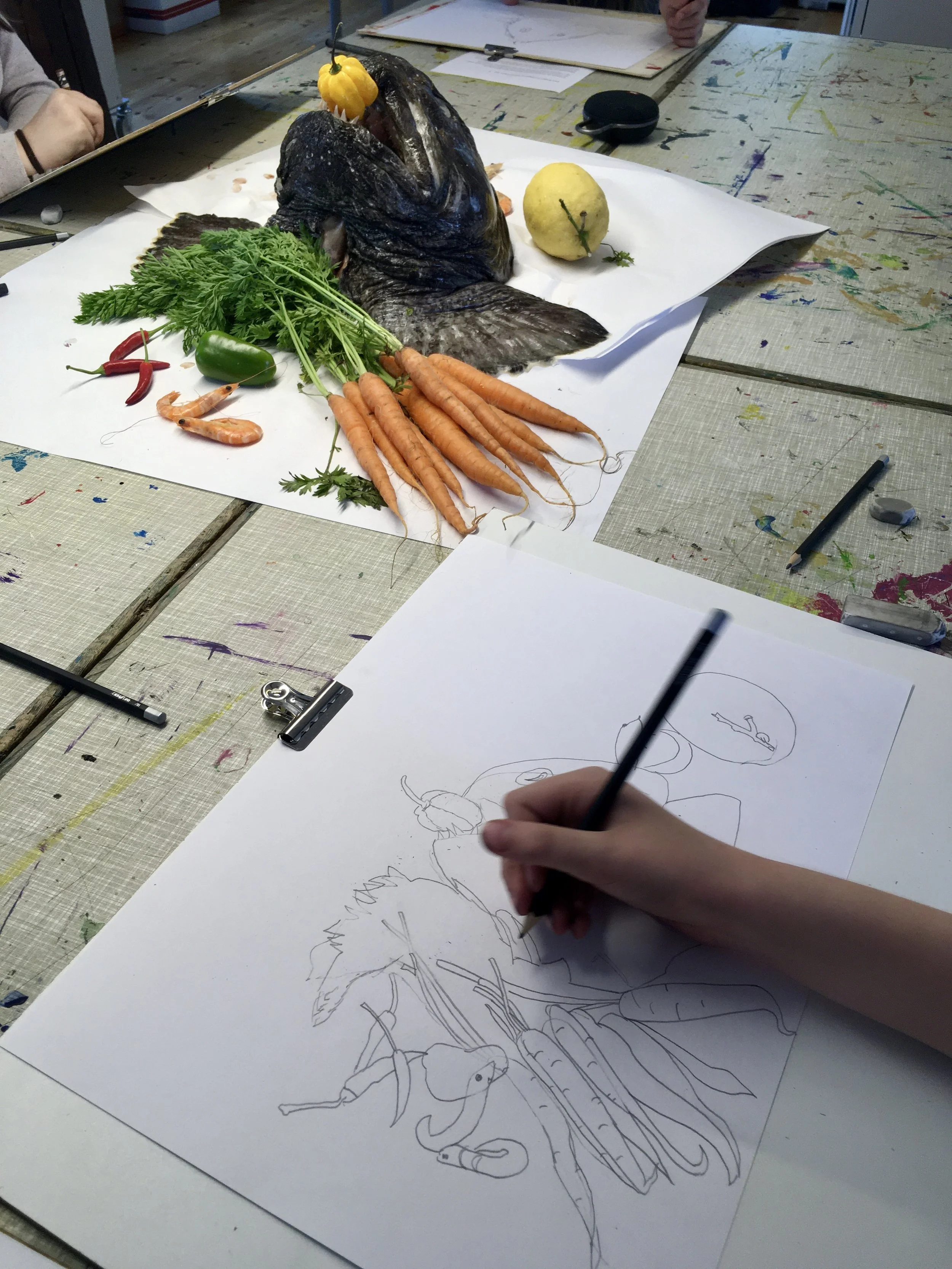 Sommercamp, Rødovregård, 2021, portræt af en havkat