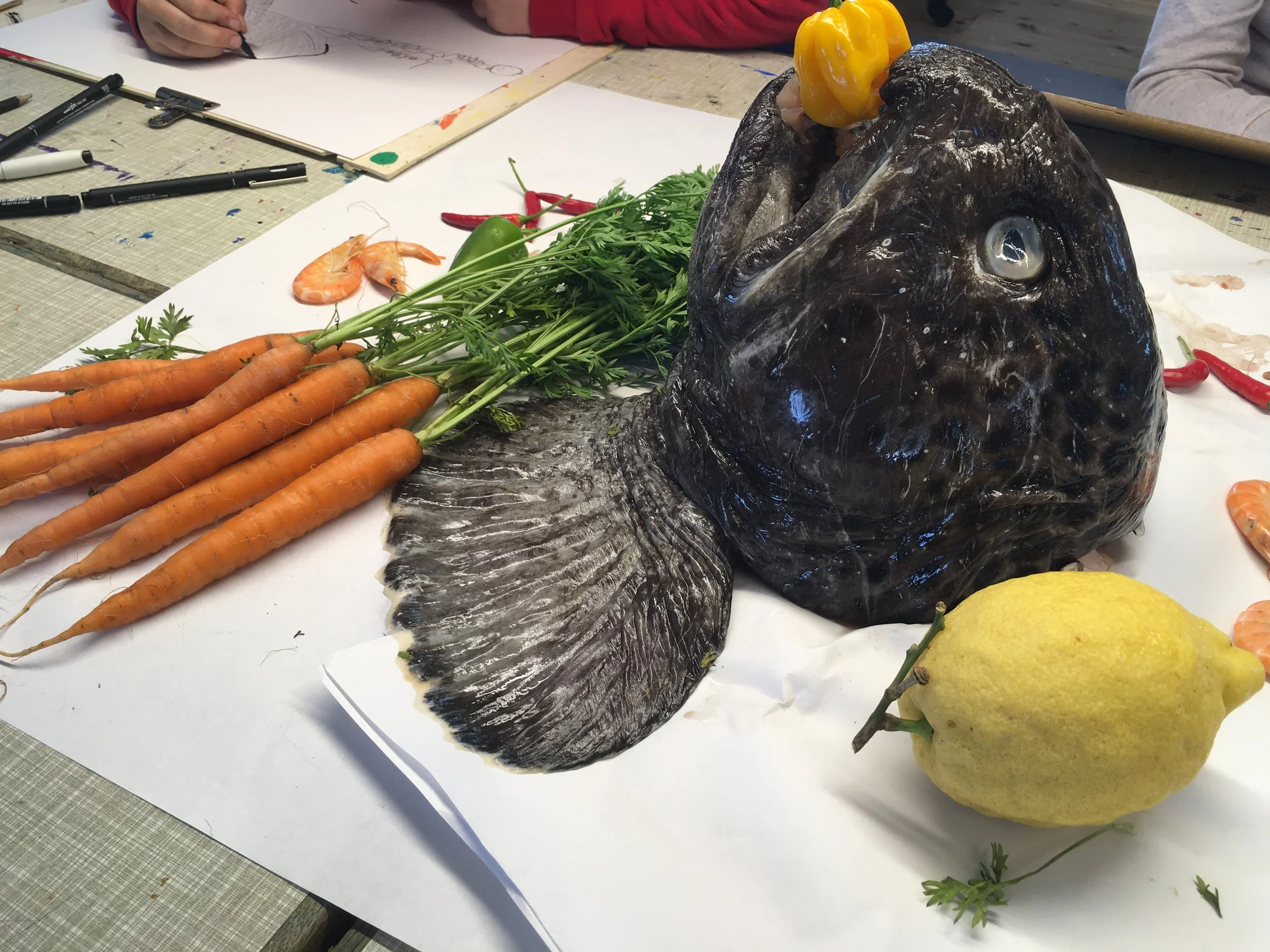 Sommercamp, Rødovregård, 2021, portræt af en havkat