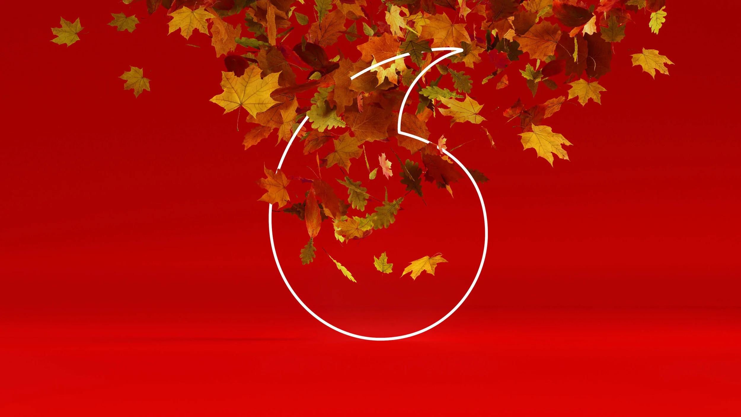 VF_Seasonal13.jpg