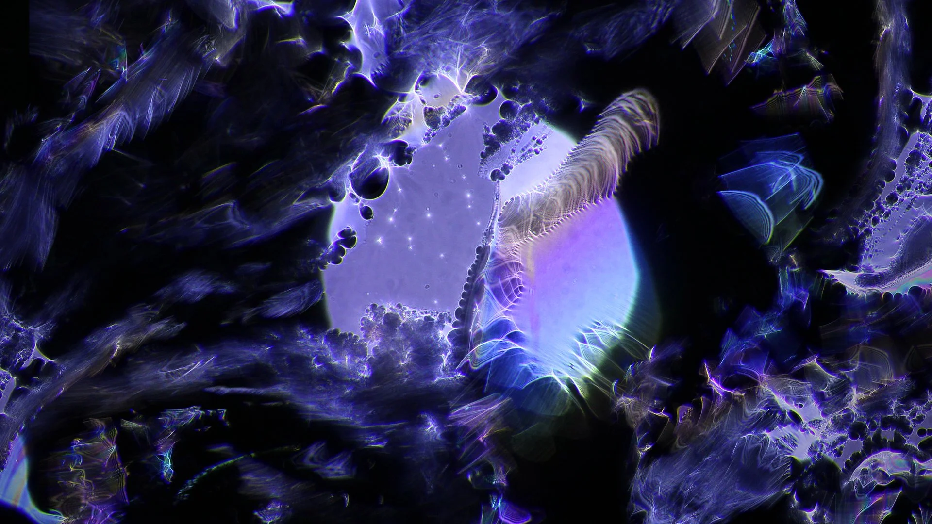 davy evans load page copy.jpg