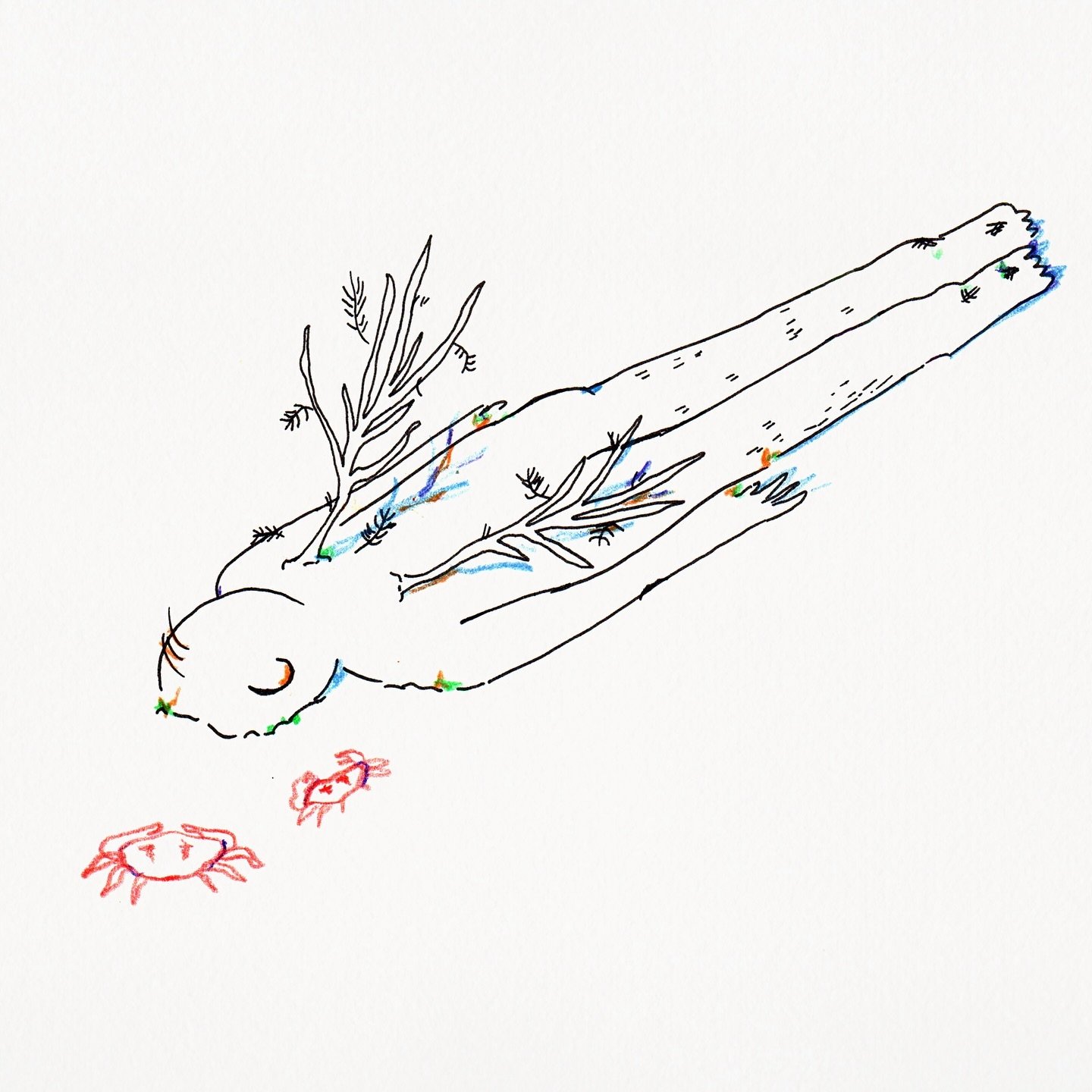 era un &aacute;ngel 🪽🌀🐚💫🦀