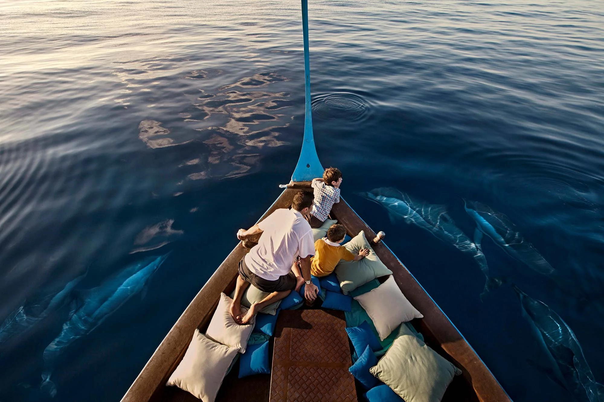 Maldives-Banner-image---bottom-of-page---Four-Seasons-Landaa-Giraavaru---Dolphin-Cruisejpg.jpg