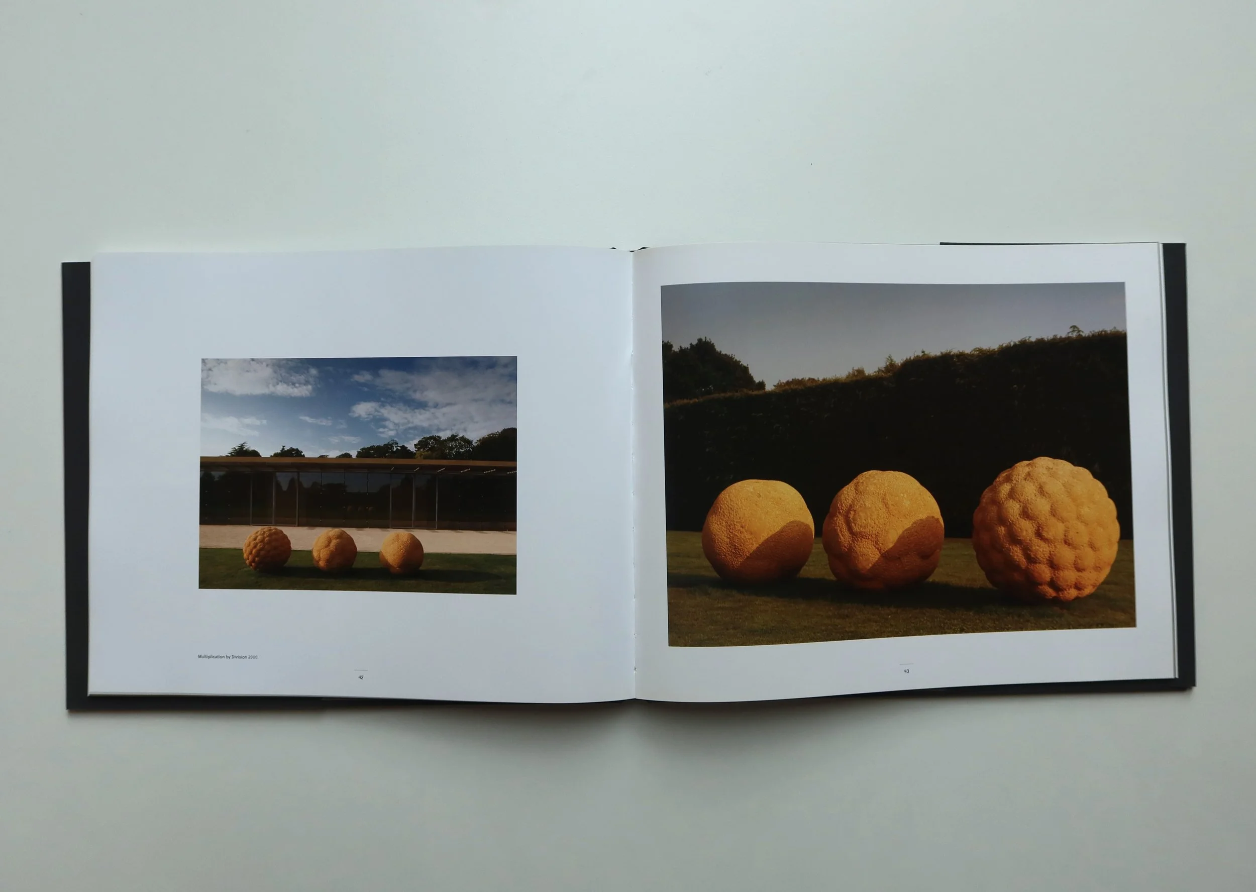 randall page inside.JPG