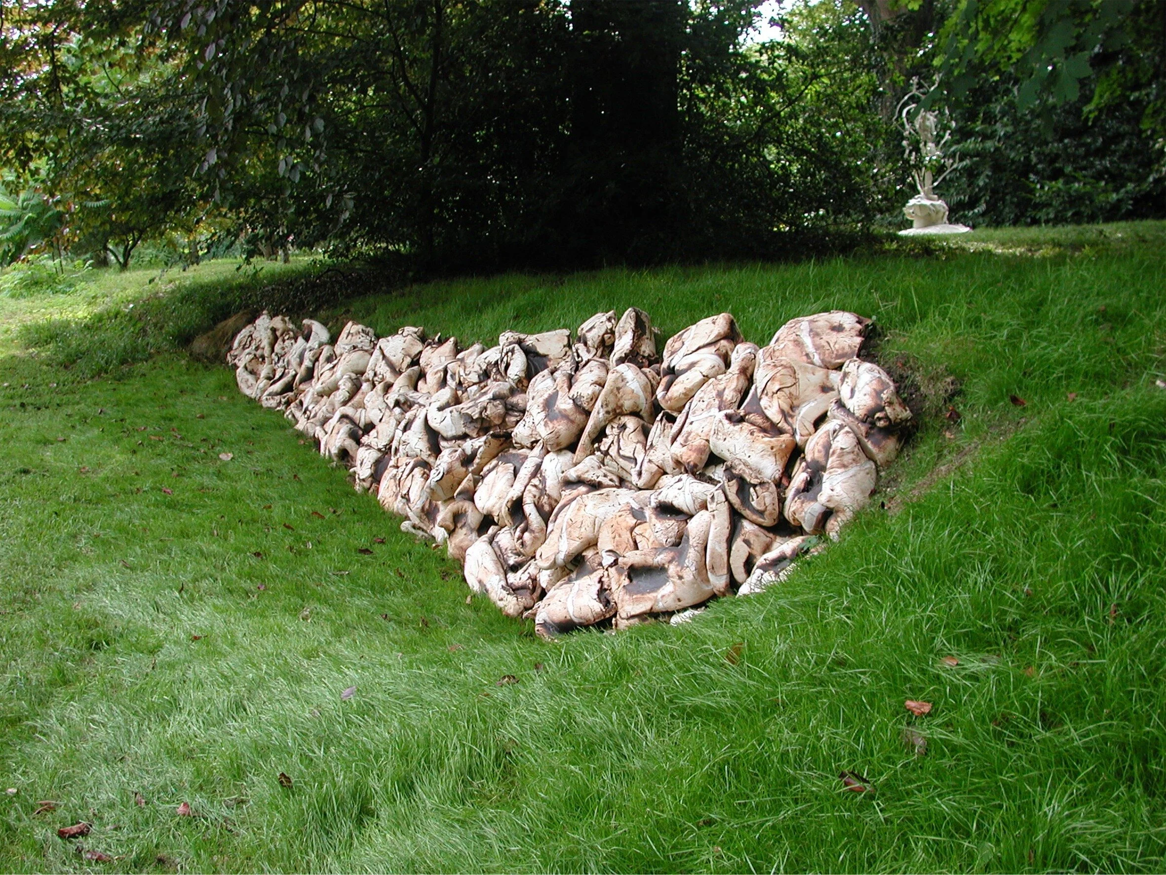Back to the Earth, 2005
