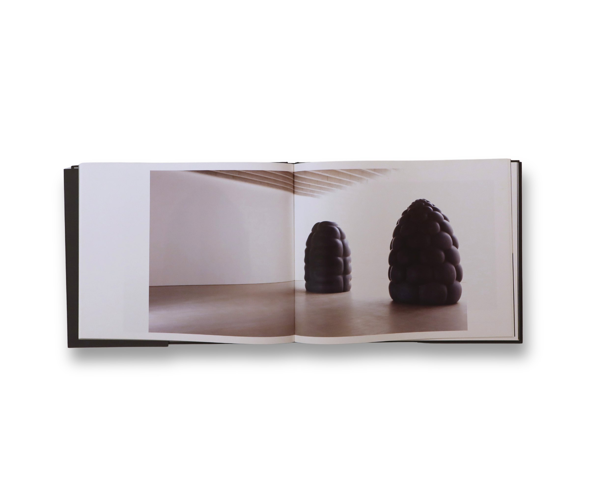 Peter randall Page inside.png