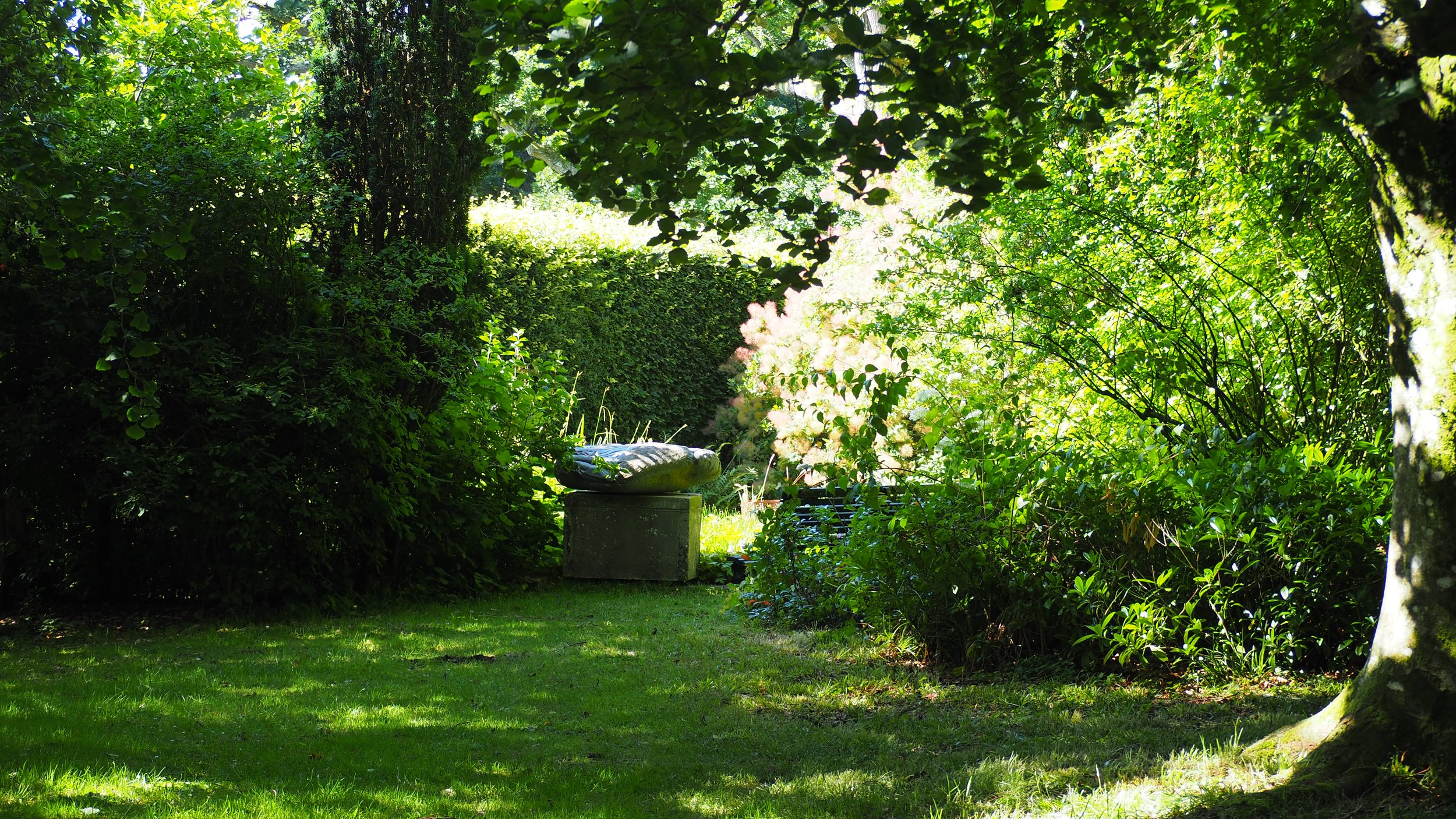 Happy St David’s Day