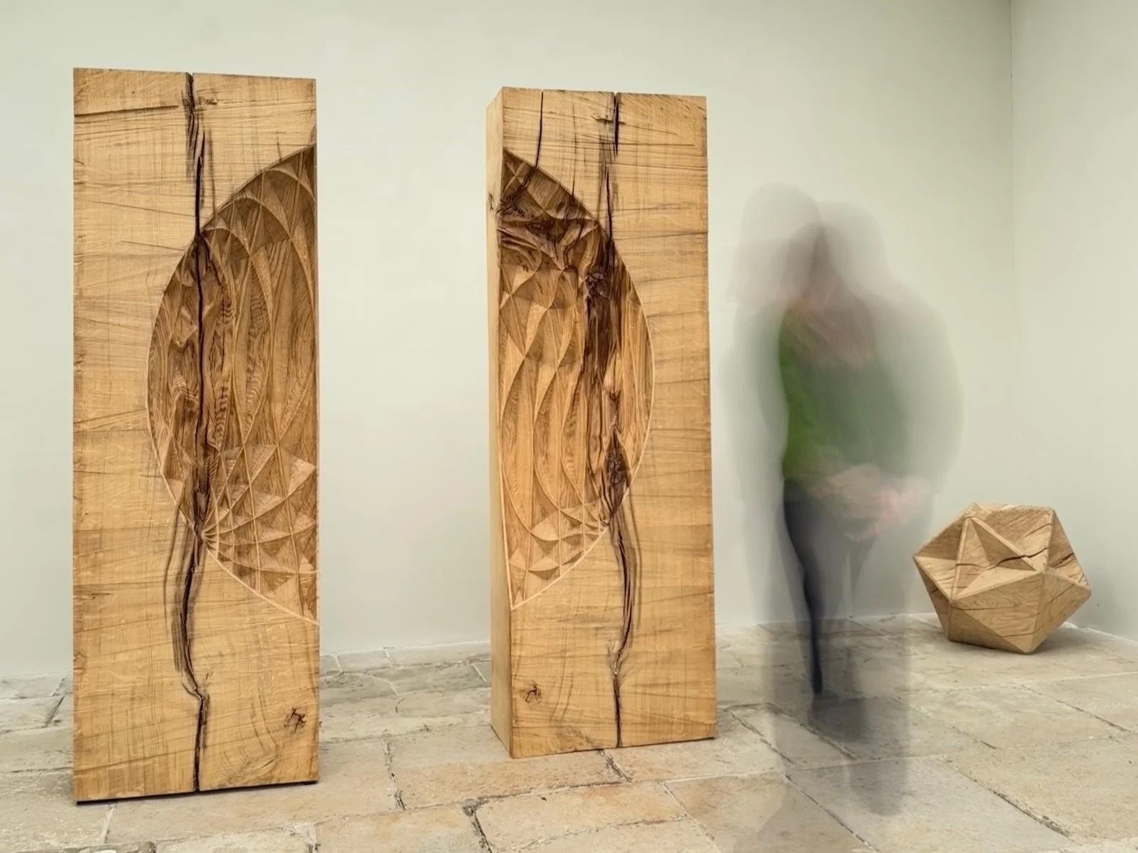 WORK OF THE WEEK: Alison Crowther, Anatomy of a Tree, 2026