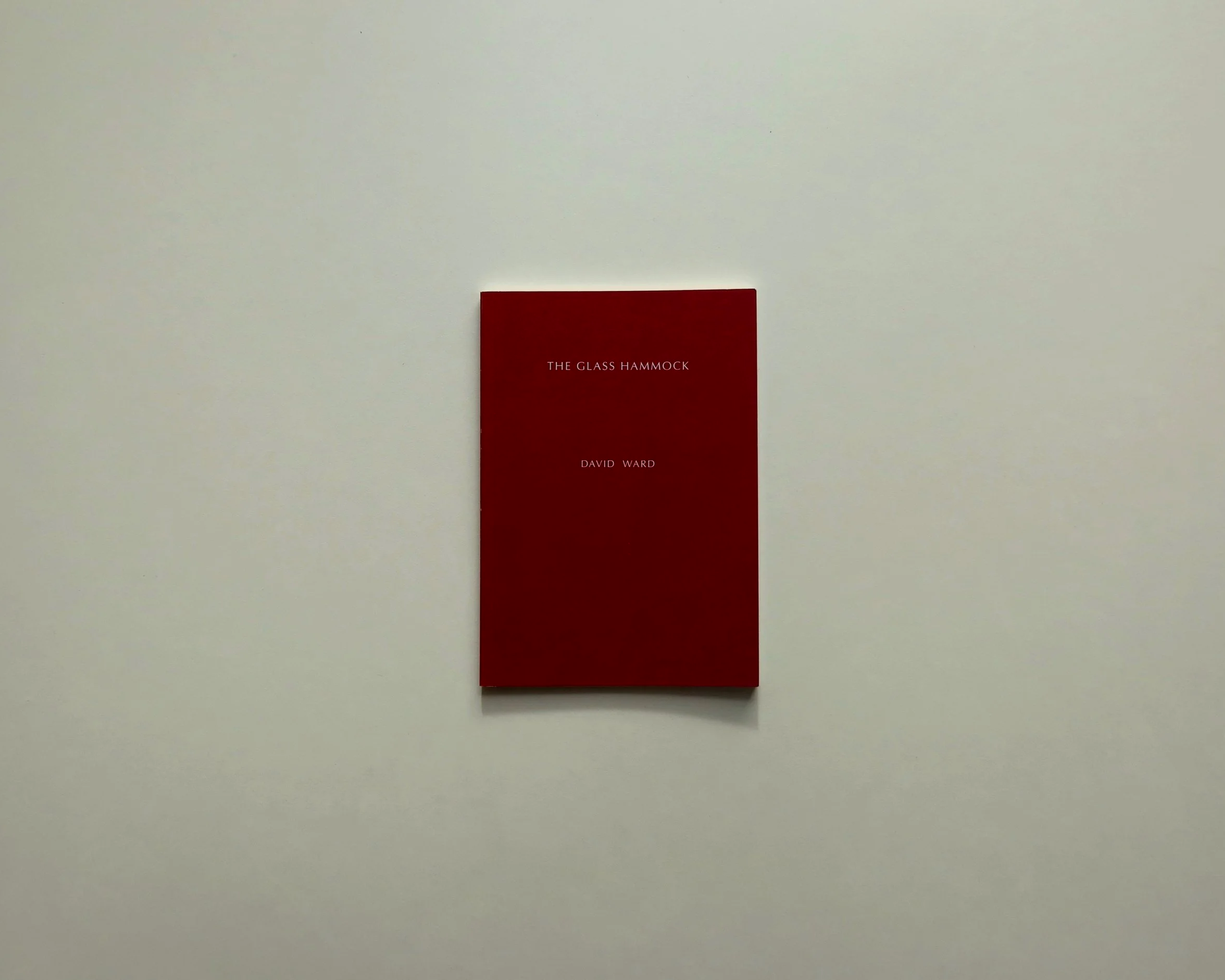 David Ward: The Glass Hammock