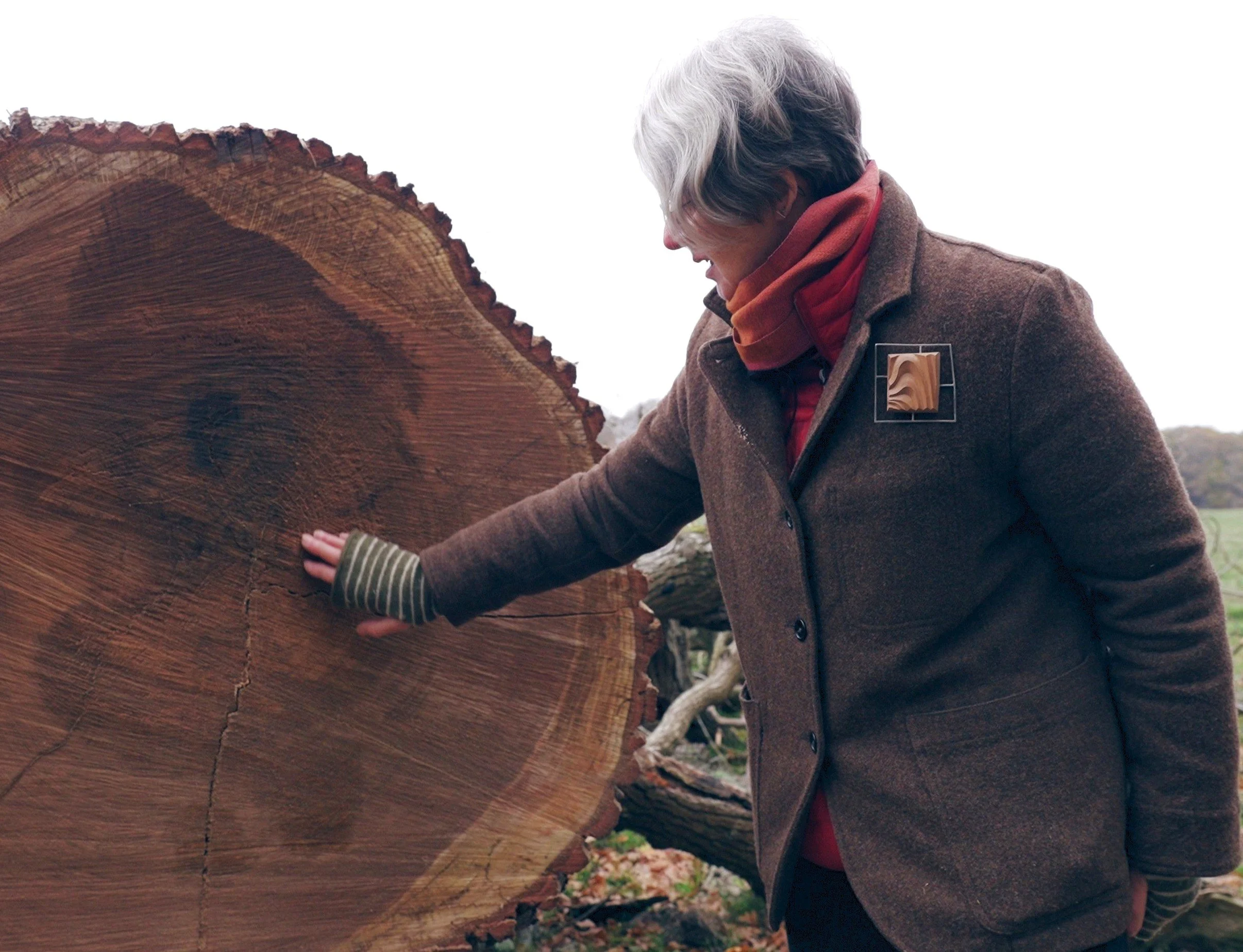 Event: Alison Crowther MA RCA and Woodland Heritage