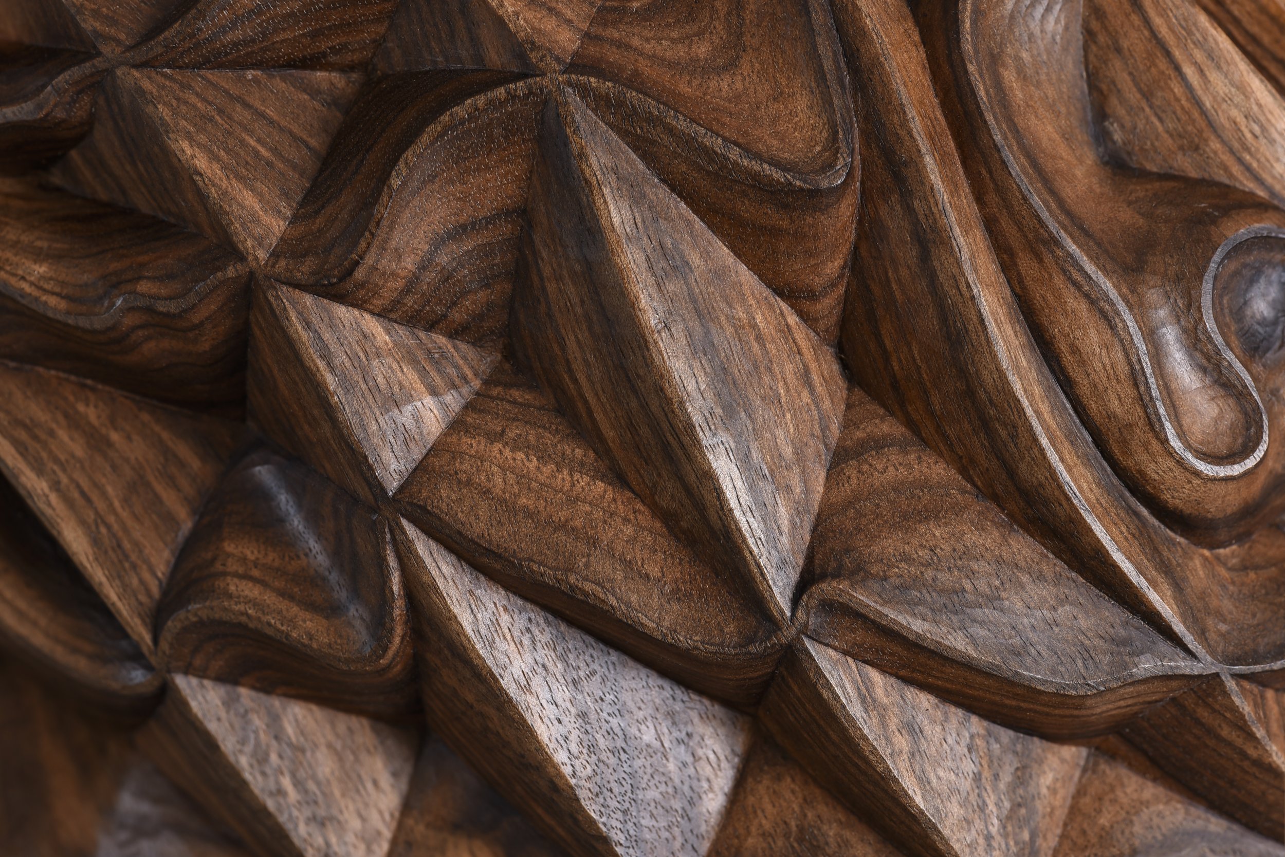 Woodfield, 2024 - close up 2.jpg