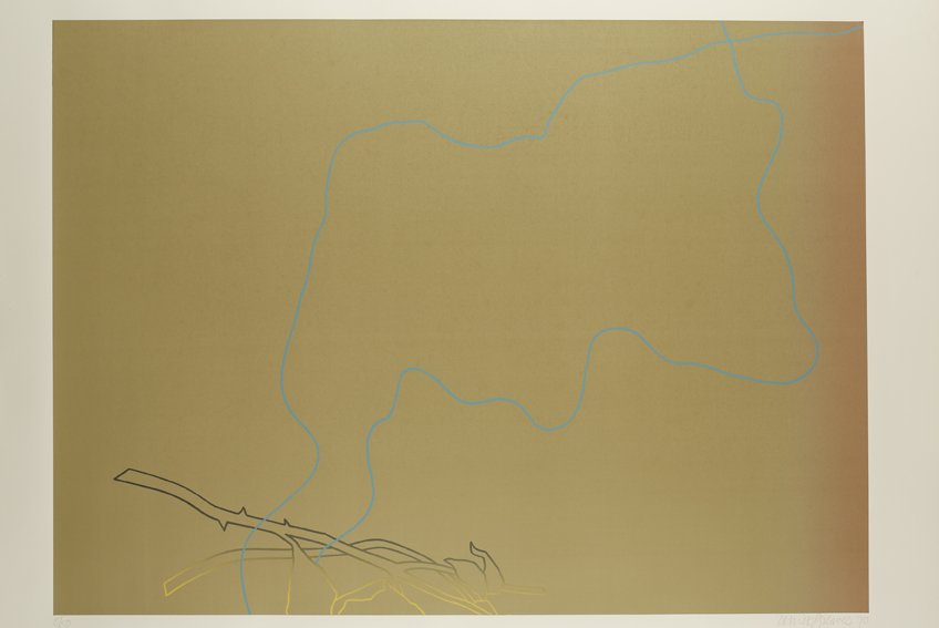 Derrick Greaves, Flowerpiece 8, 1970, Signed, dated and numbered, Screenprint, printed in colours, on Hollingworth cream wove, Sheet: 2ft 5 ⅛ x 3ft 1 ¼ in. / 74 x 94.5 cm, Edition 8 of 50